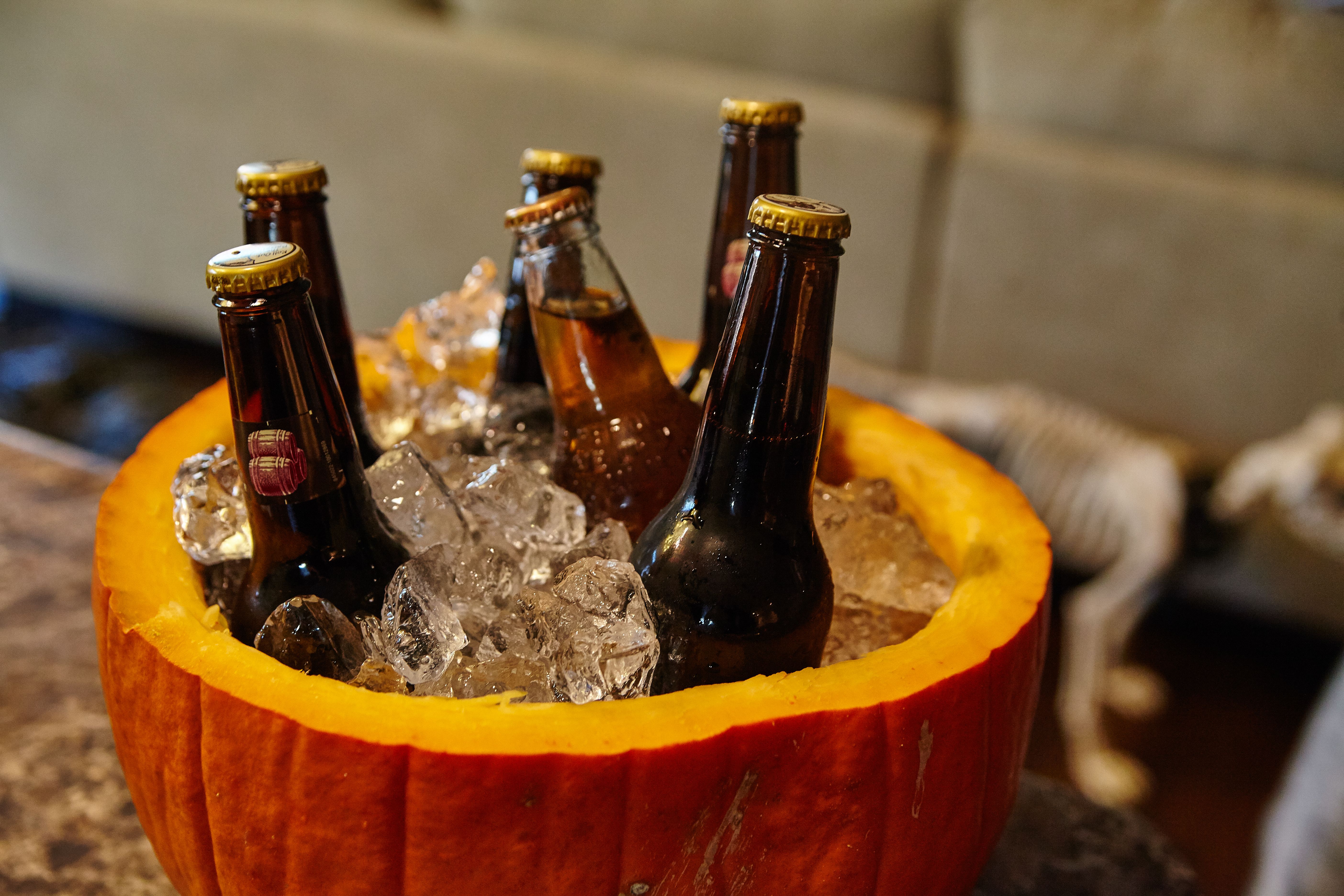 craft beer fort wayne