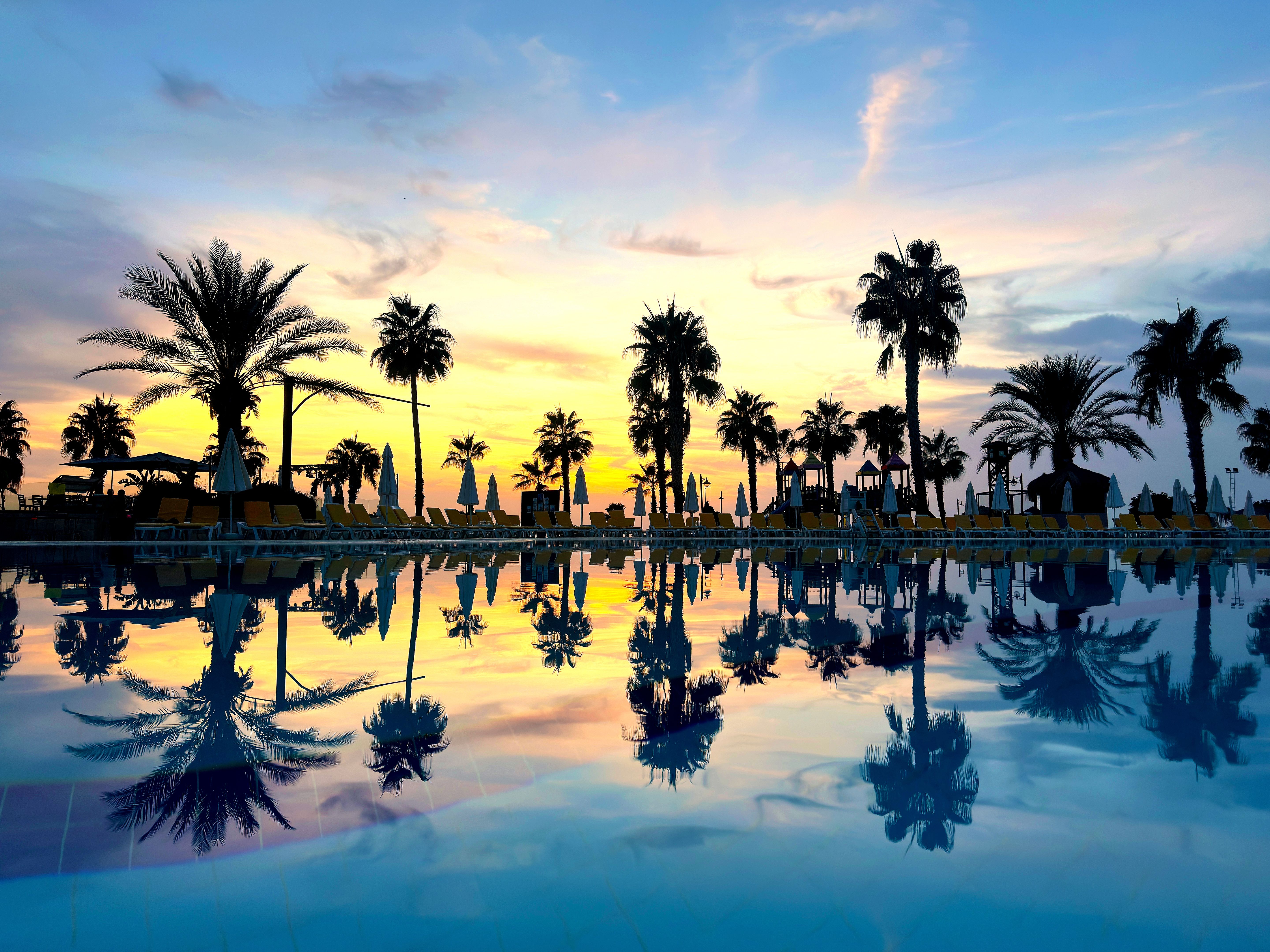 Large swimming pool and palm trees during sunset at beach