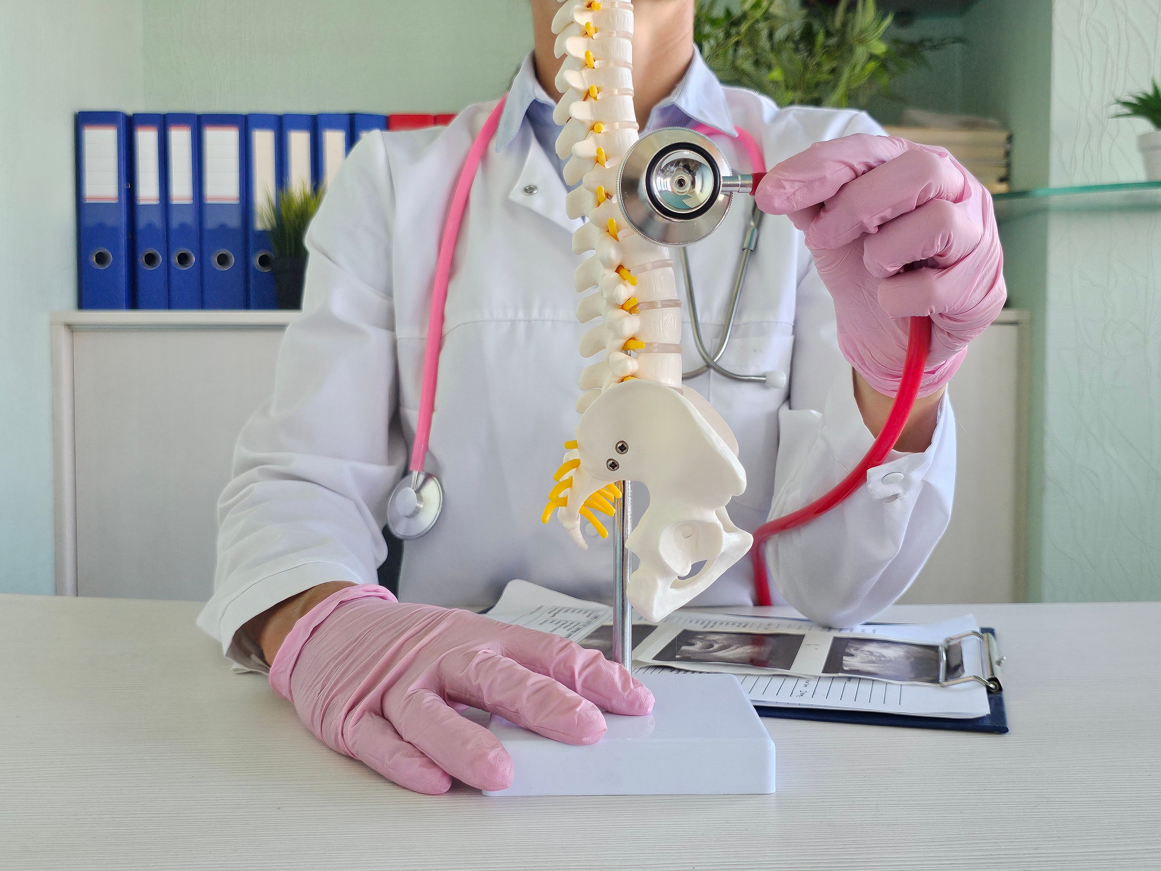 chiropractic education