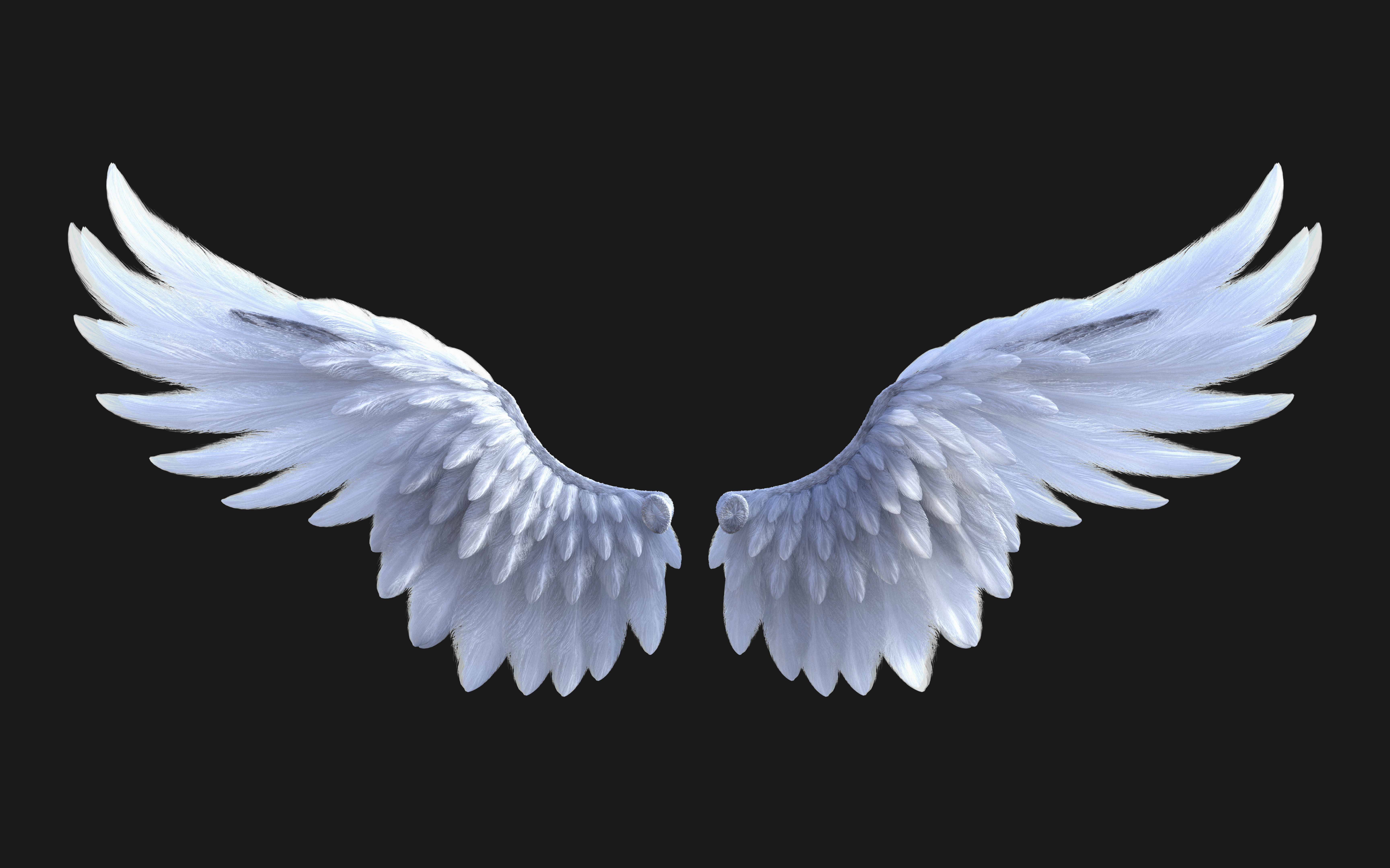 angel wings