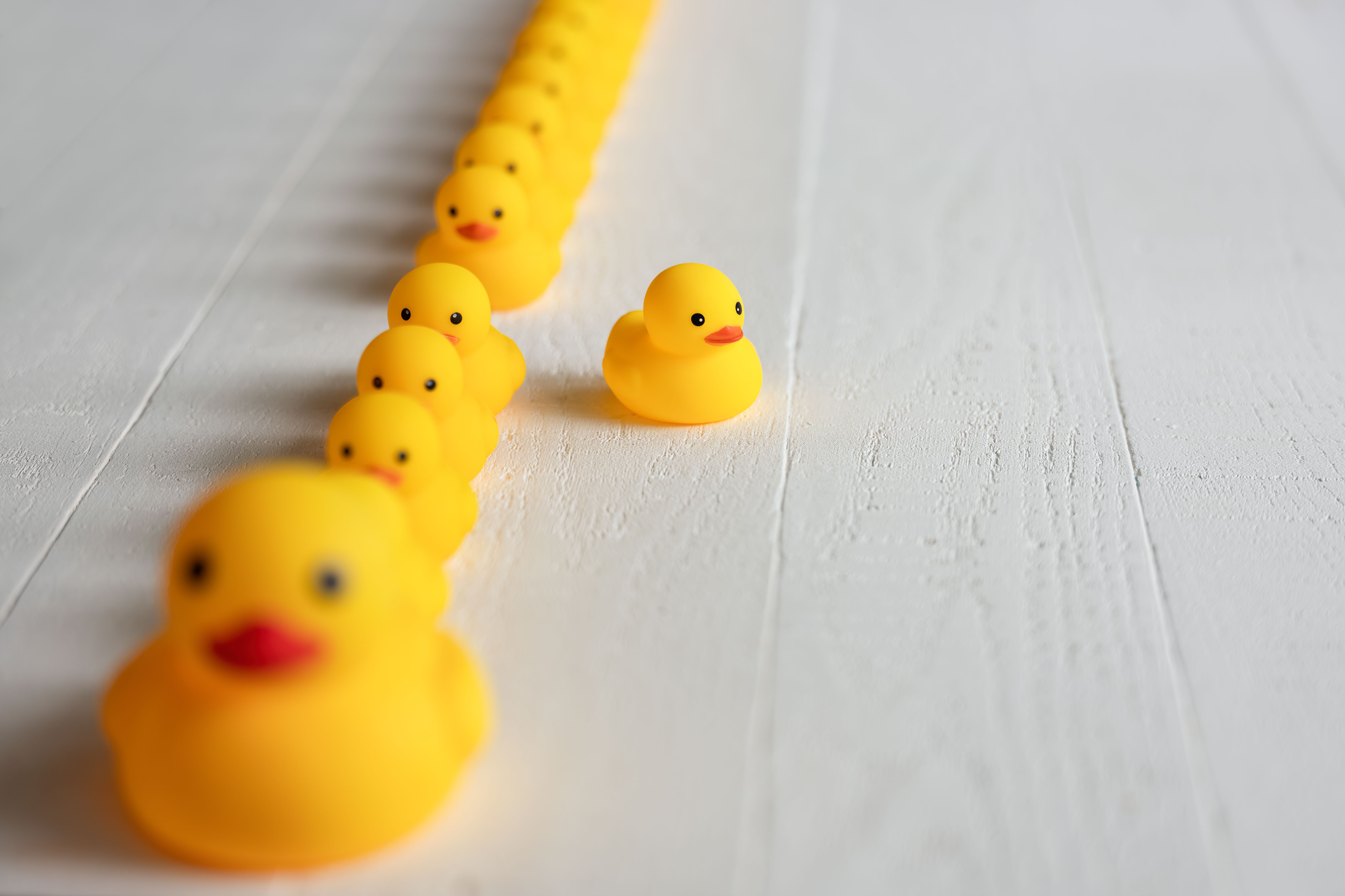 leadership vulnerability