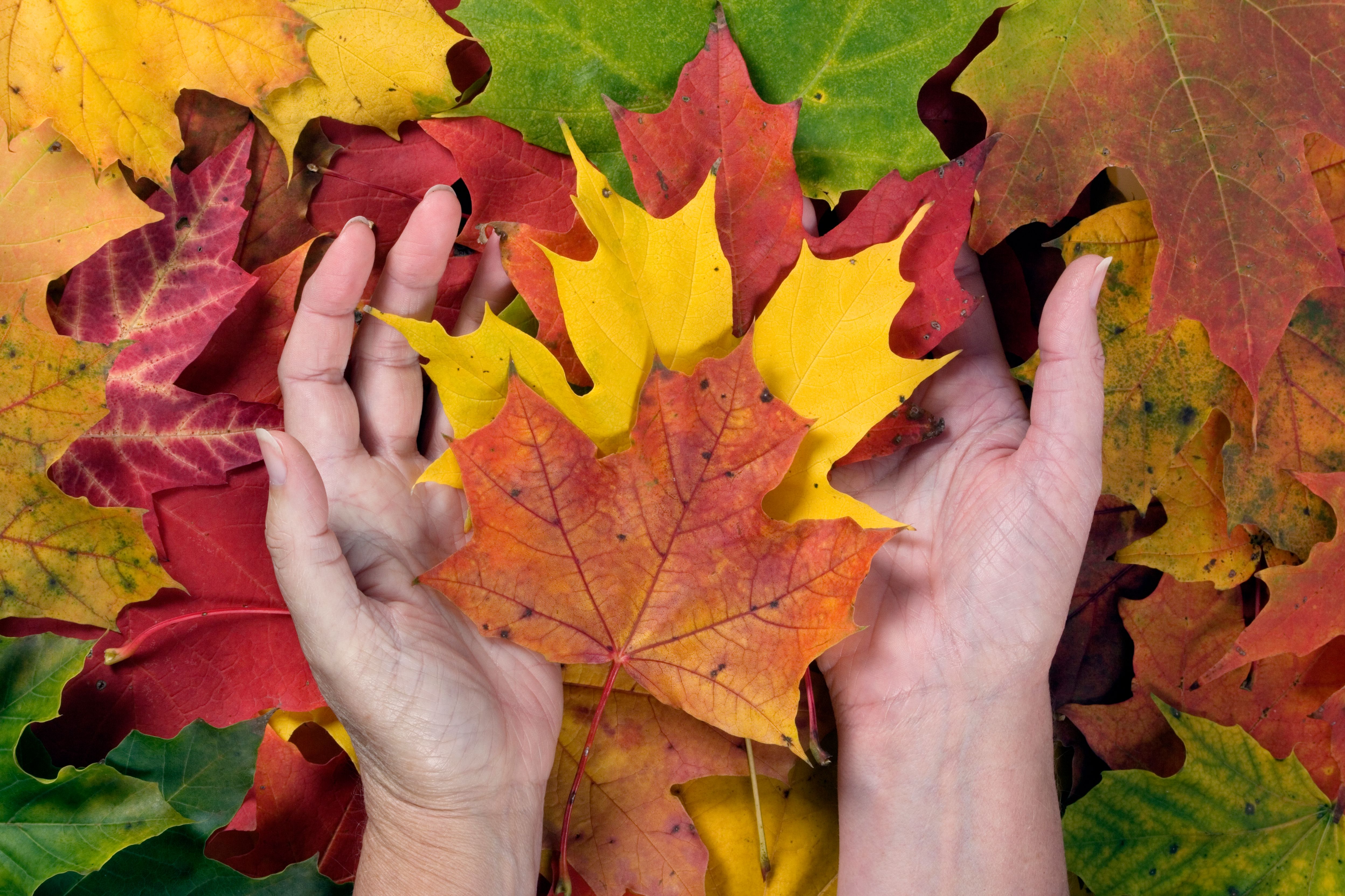 seasonal adjustments