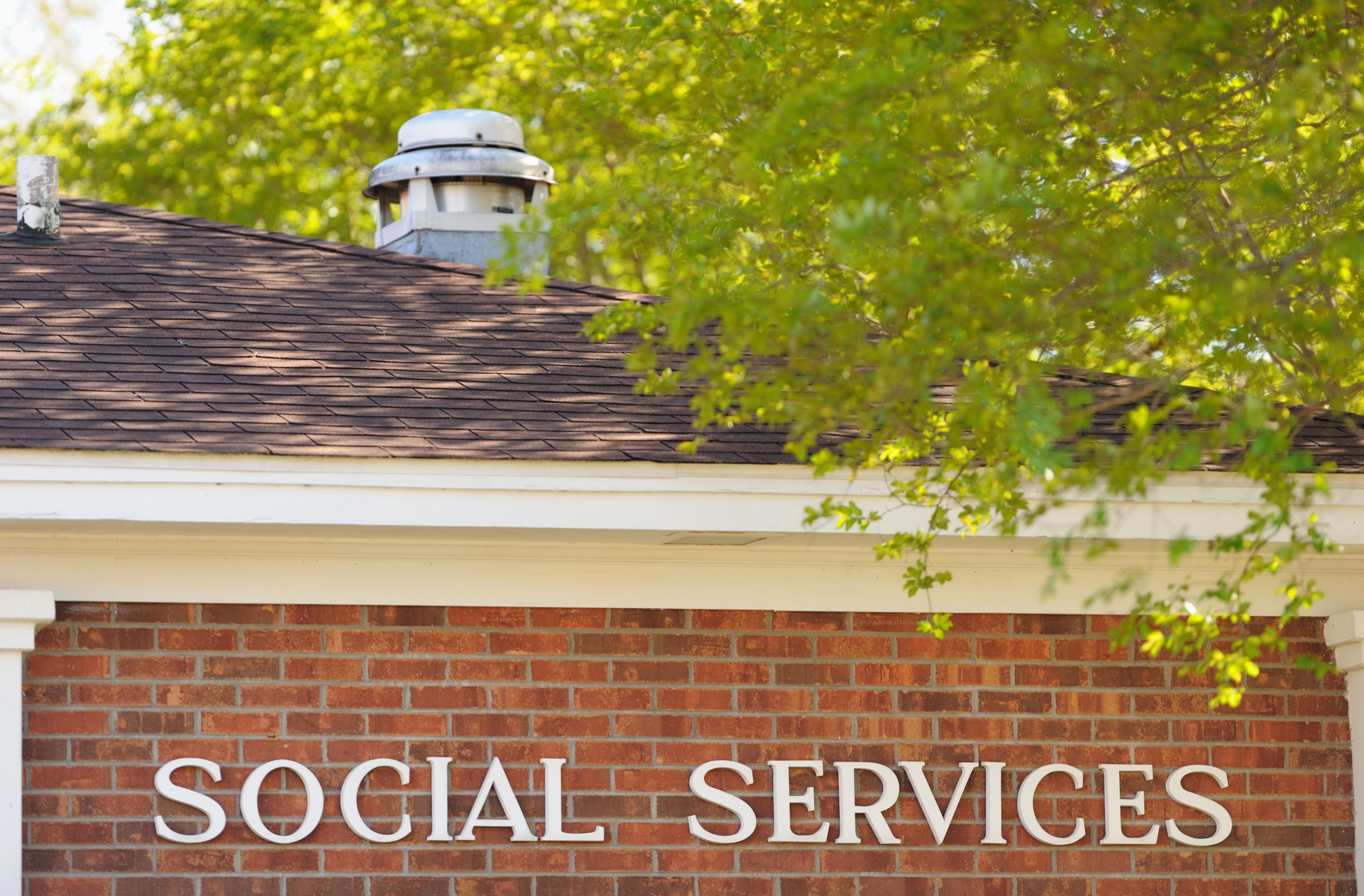 local council services