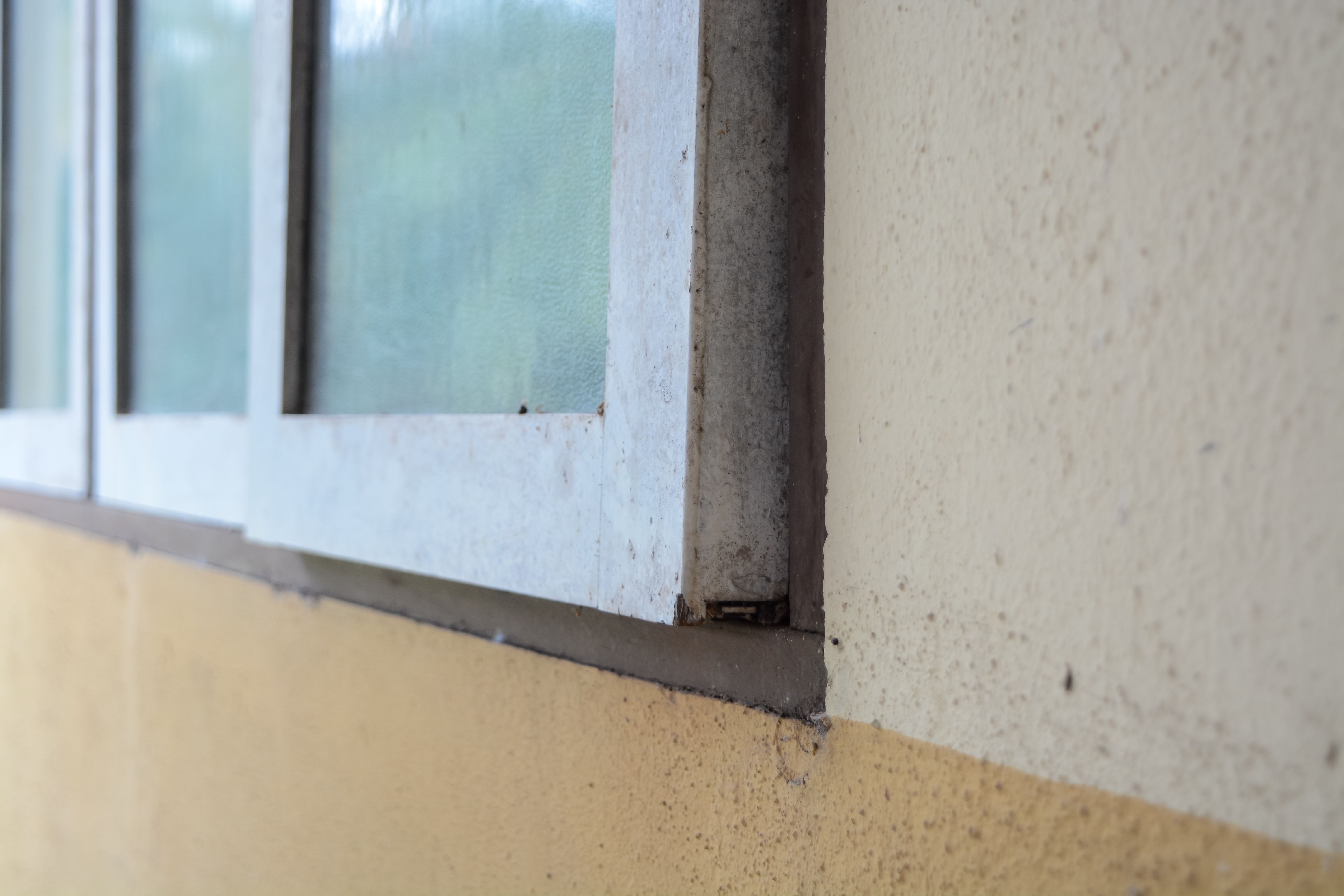 durable window frames