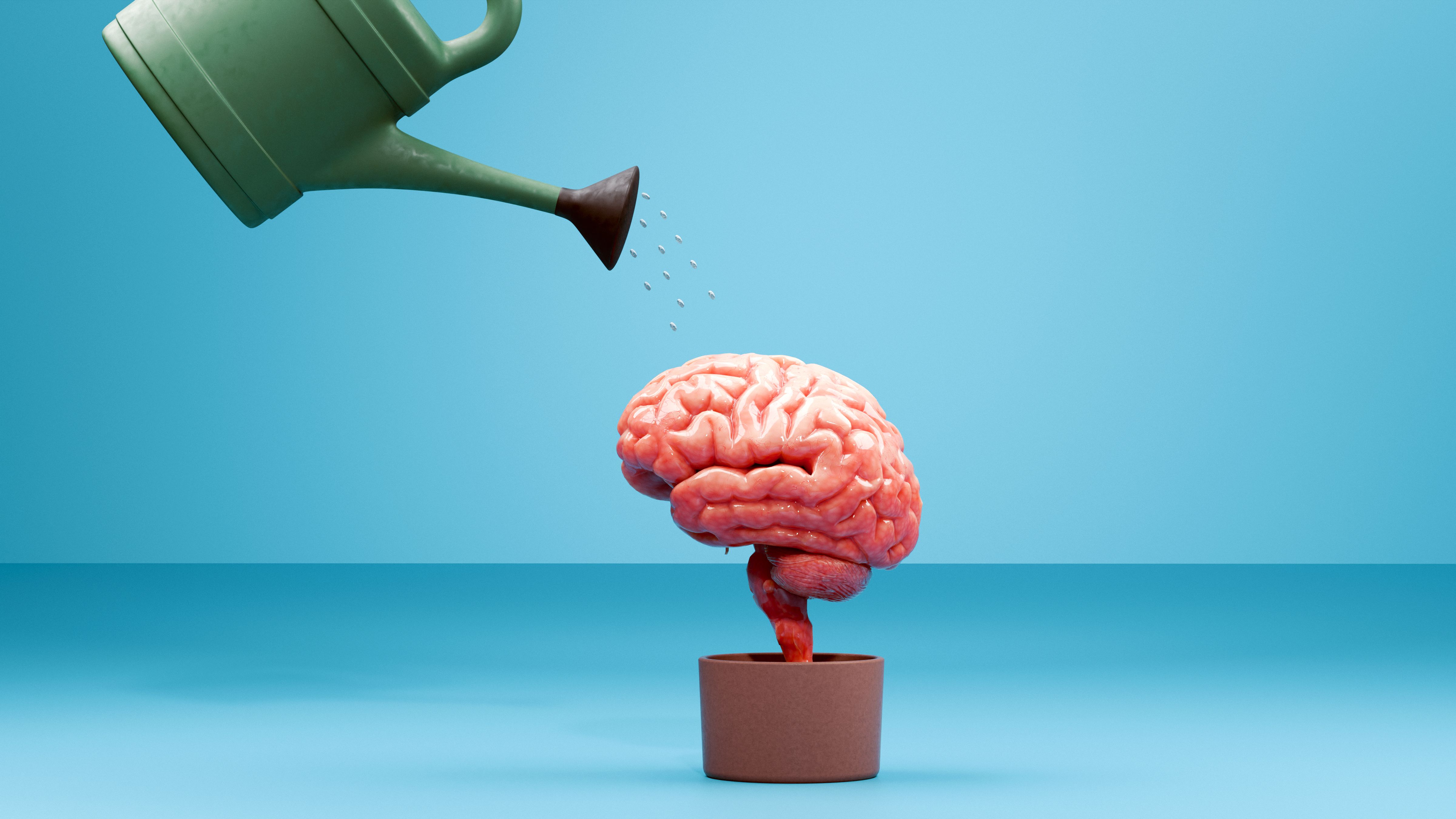 Nurturing the Mind: The Importance of Mental Growth