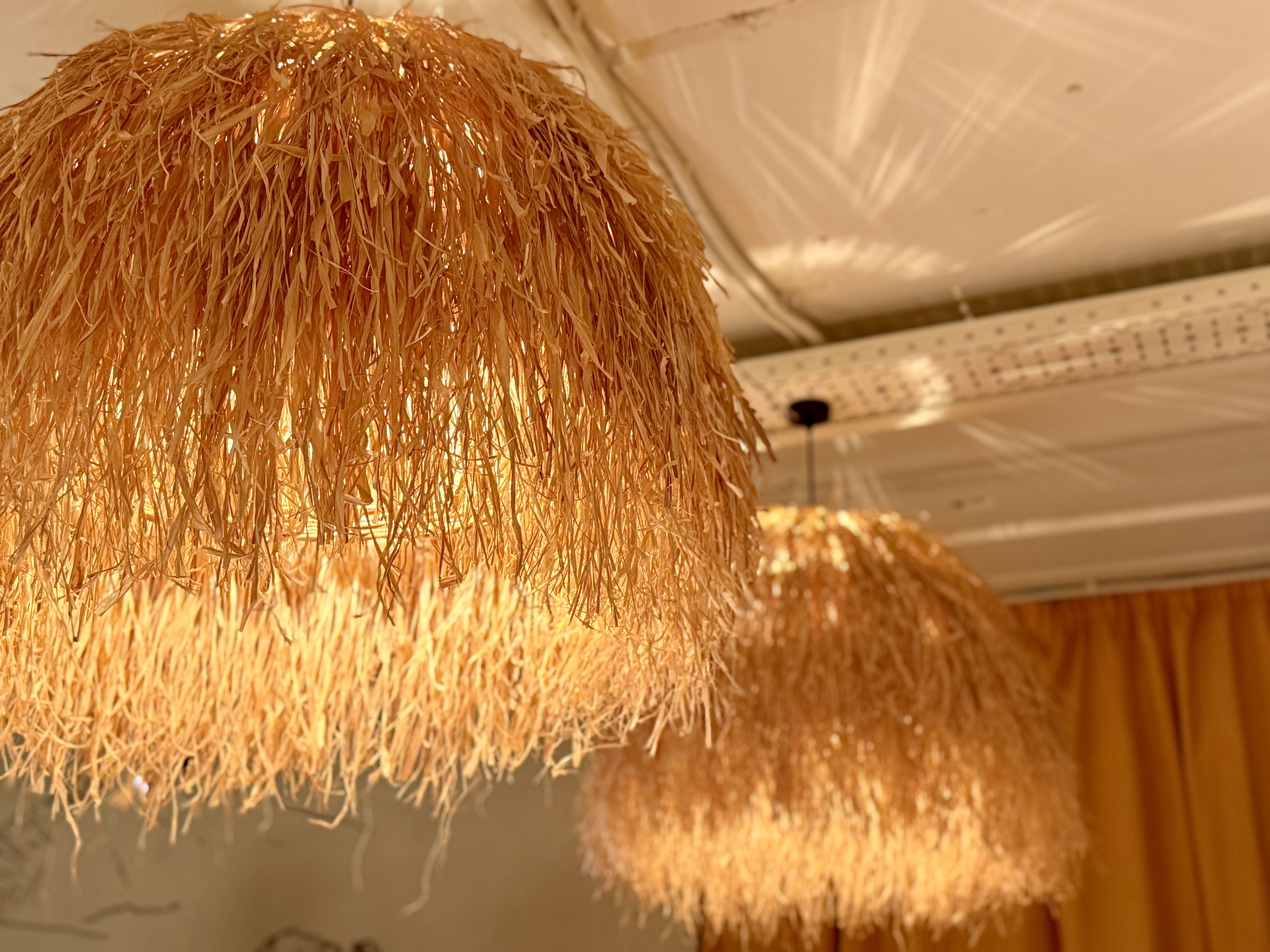 sustainable home ambiance