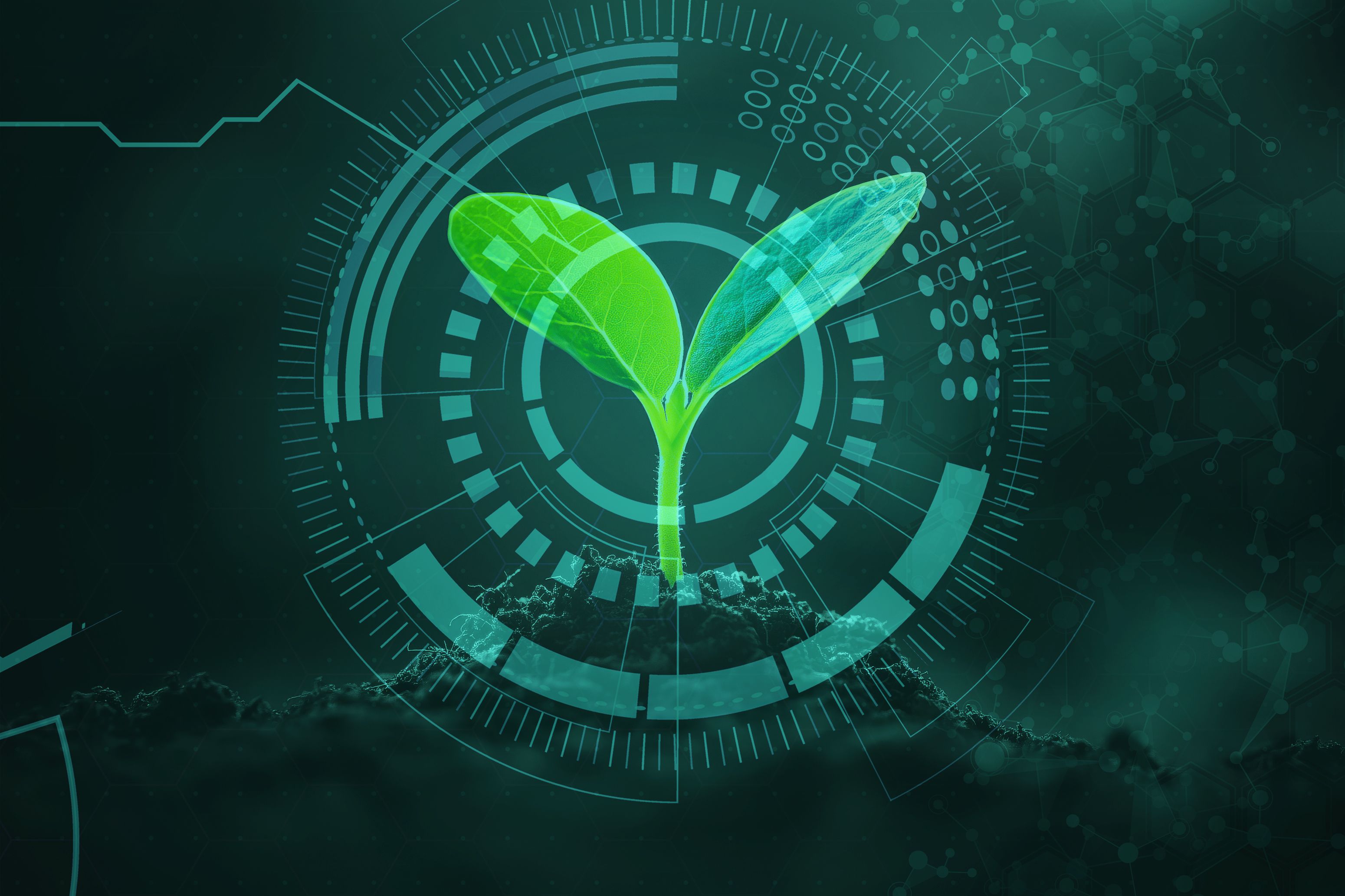 eco-friendly wearables