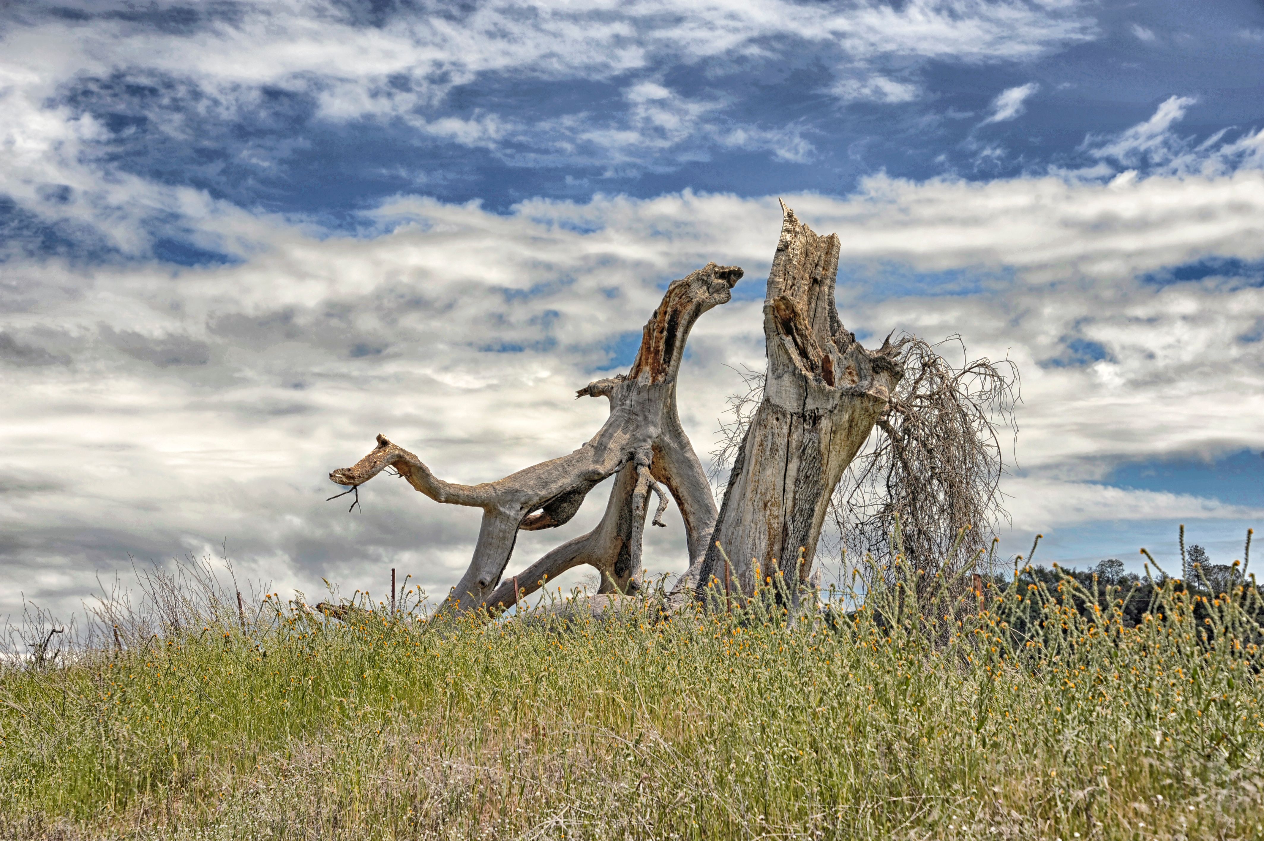 amador county travel