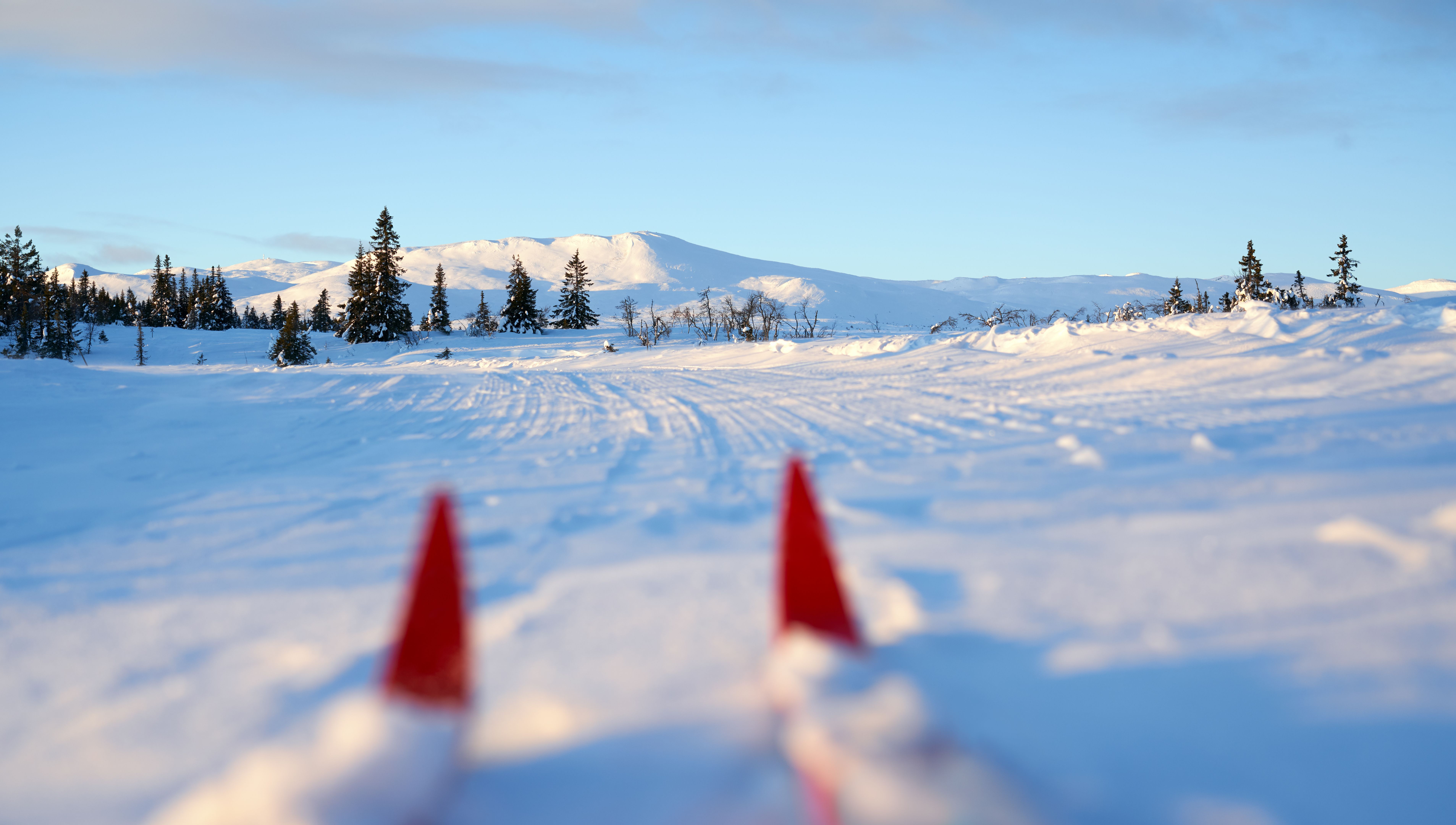 norwegian winter