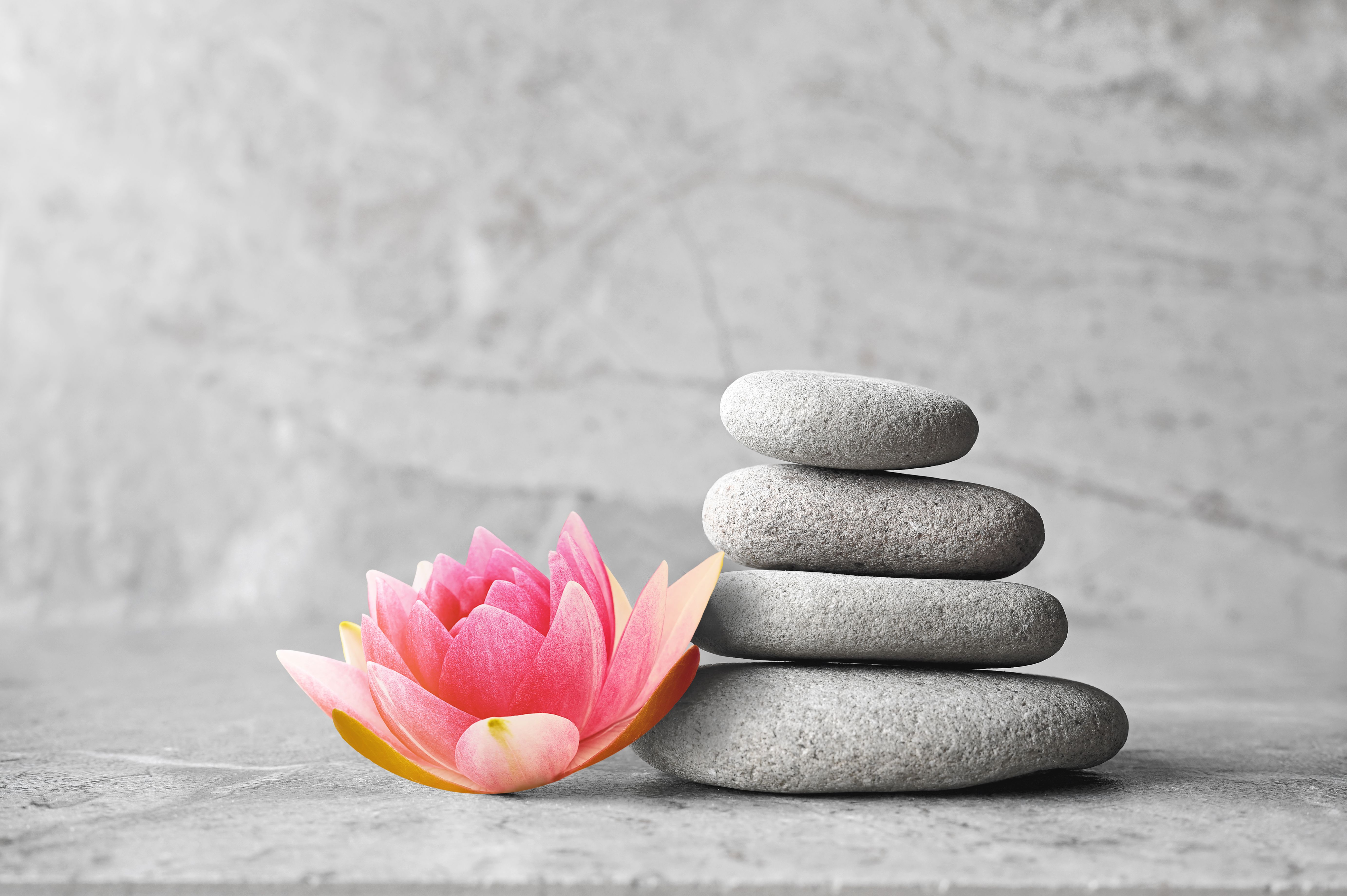 holistic wellness