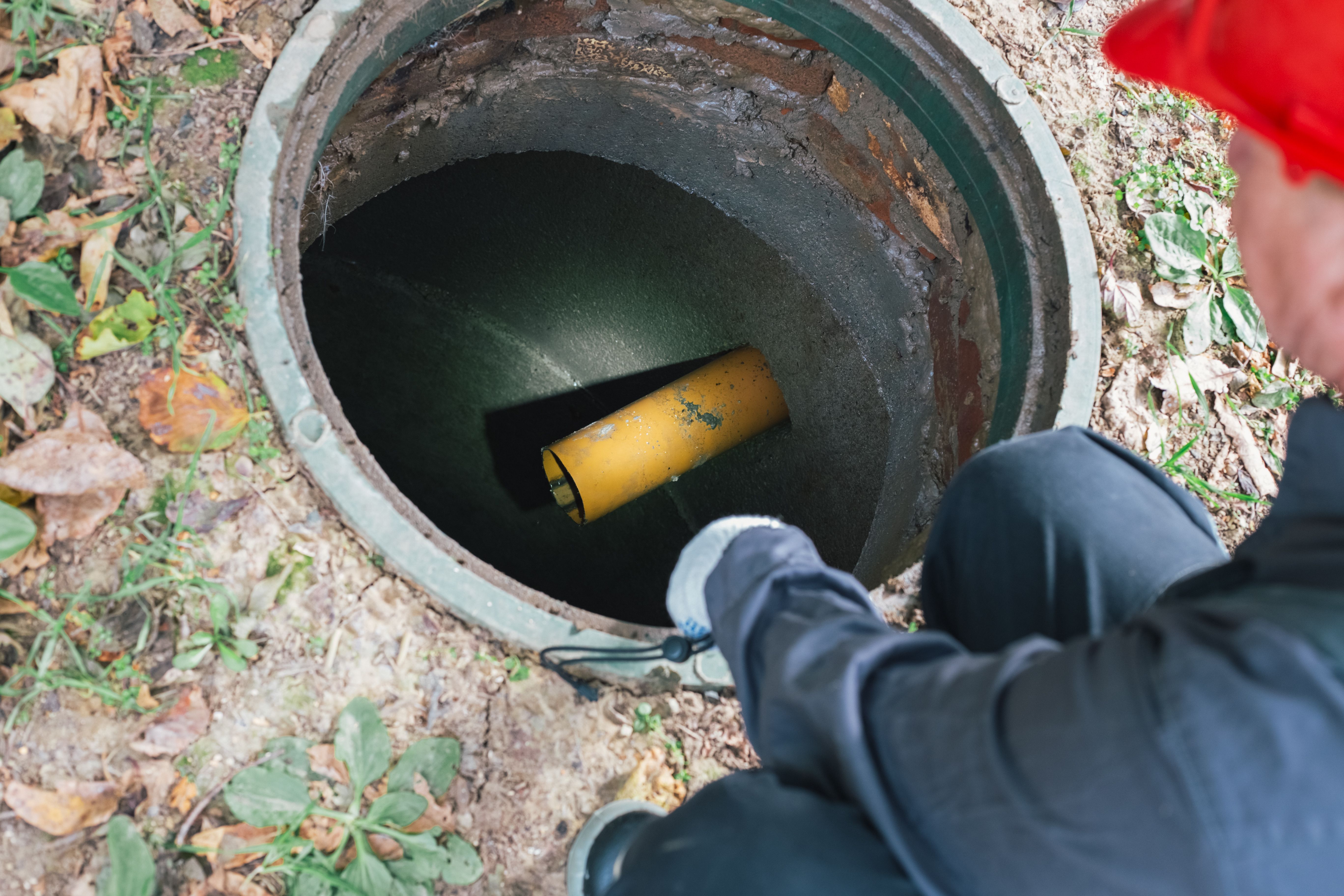 septic tank maintenance