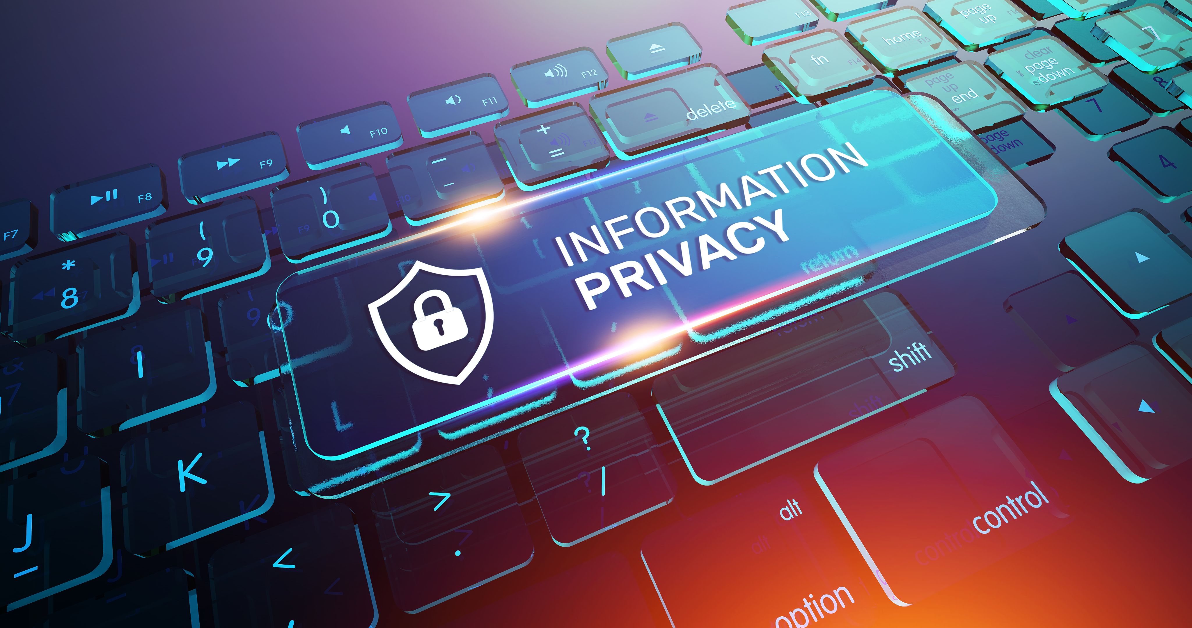 data privacy security