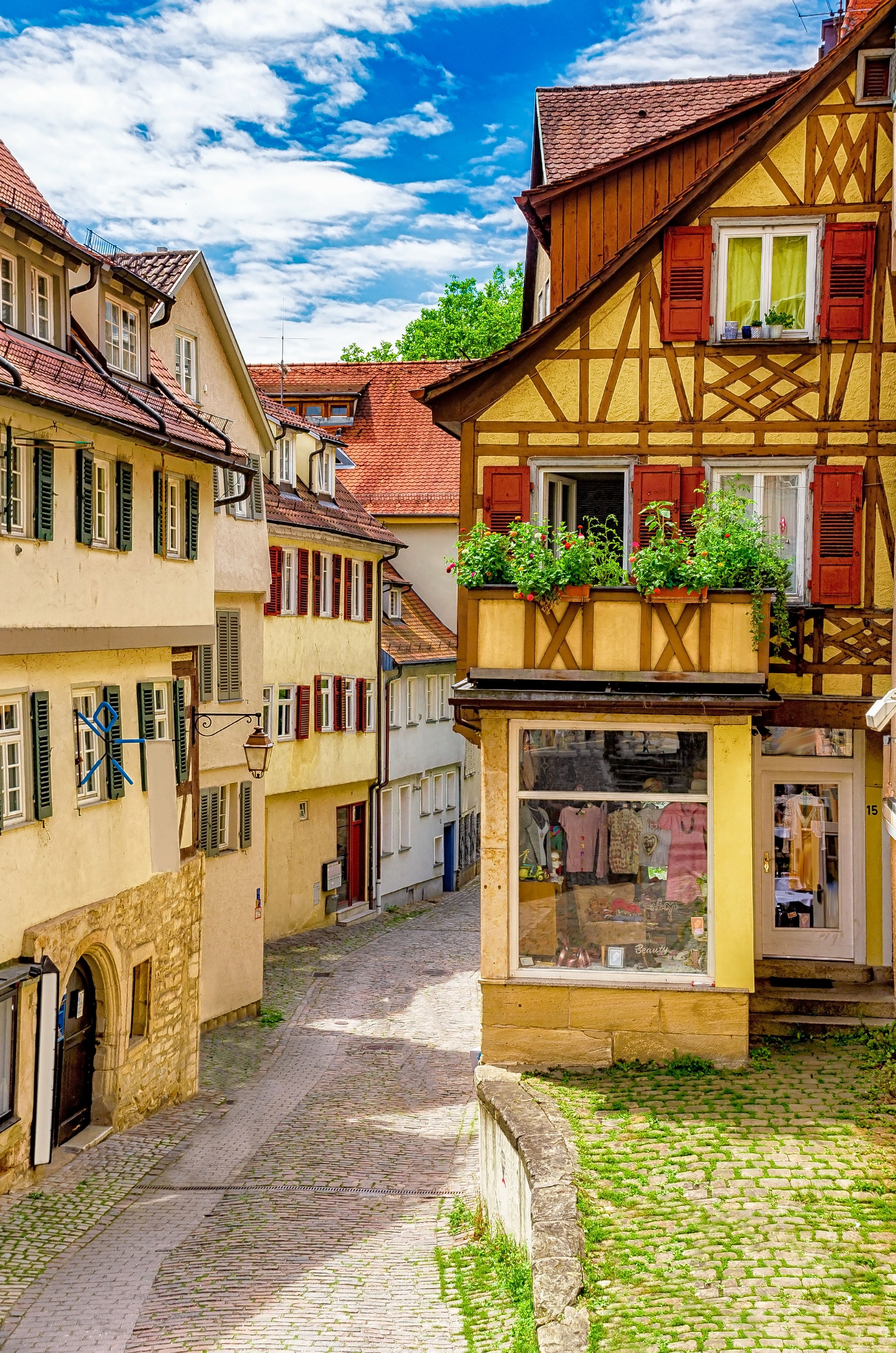 local business Tübingen