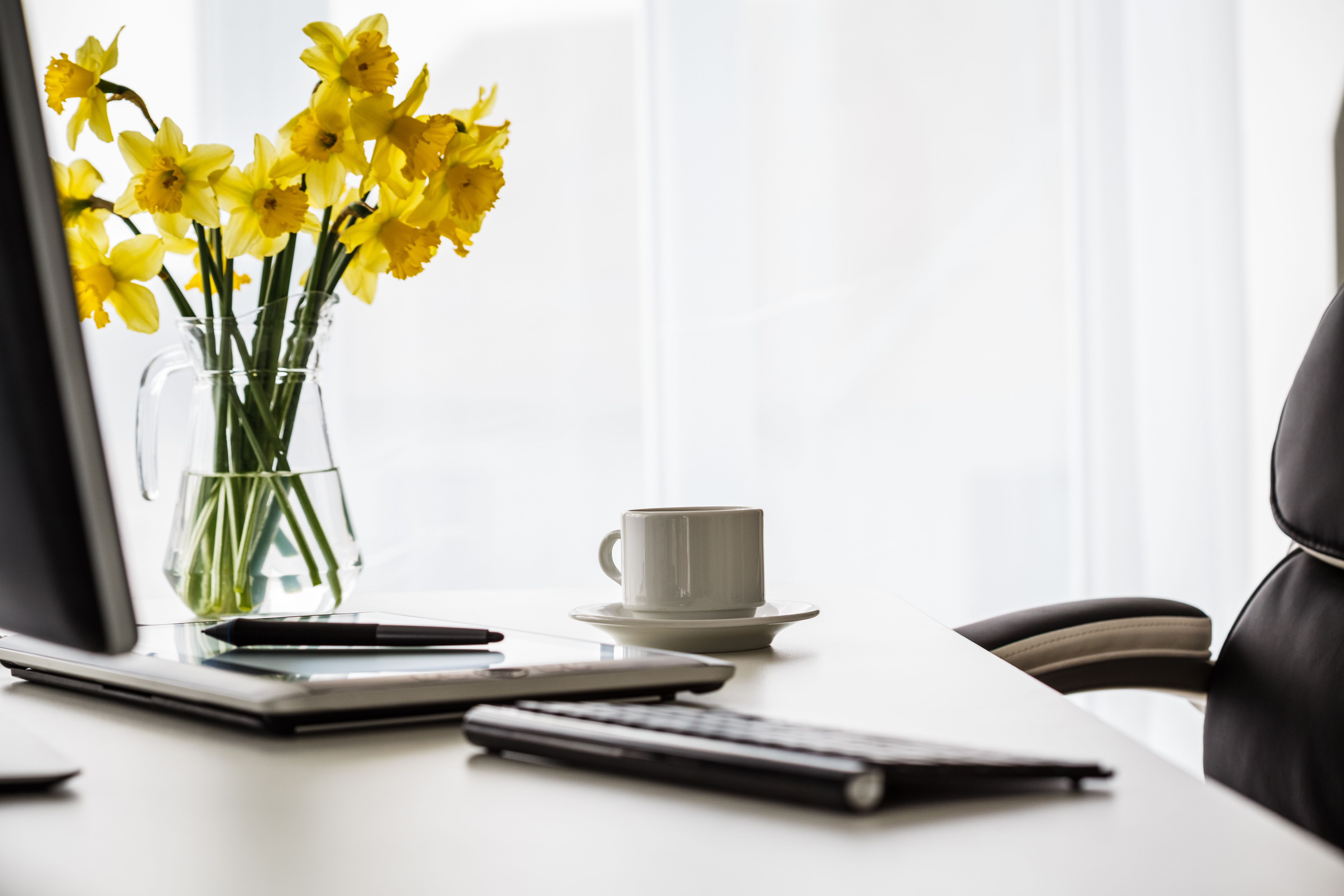 spring office