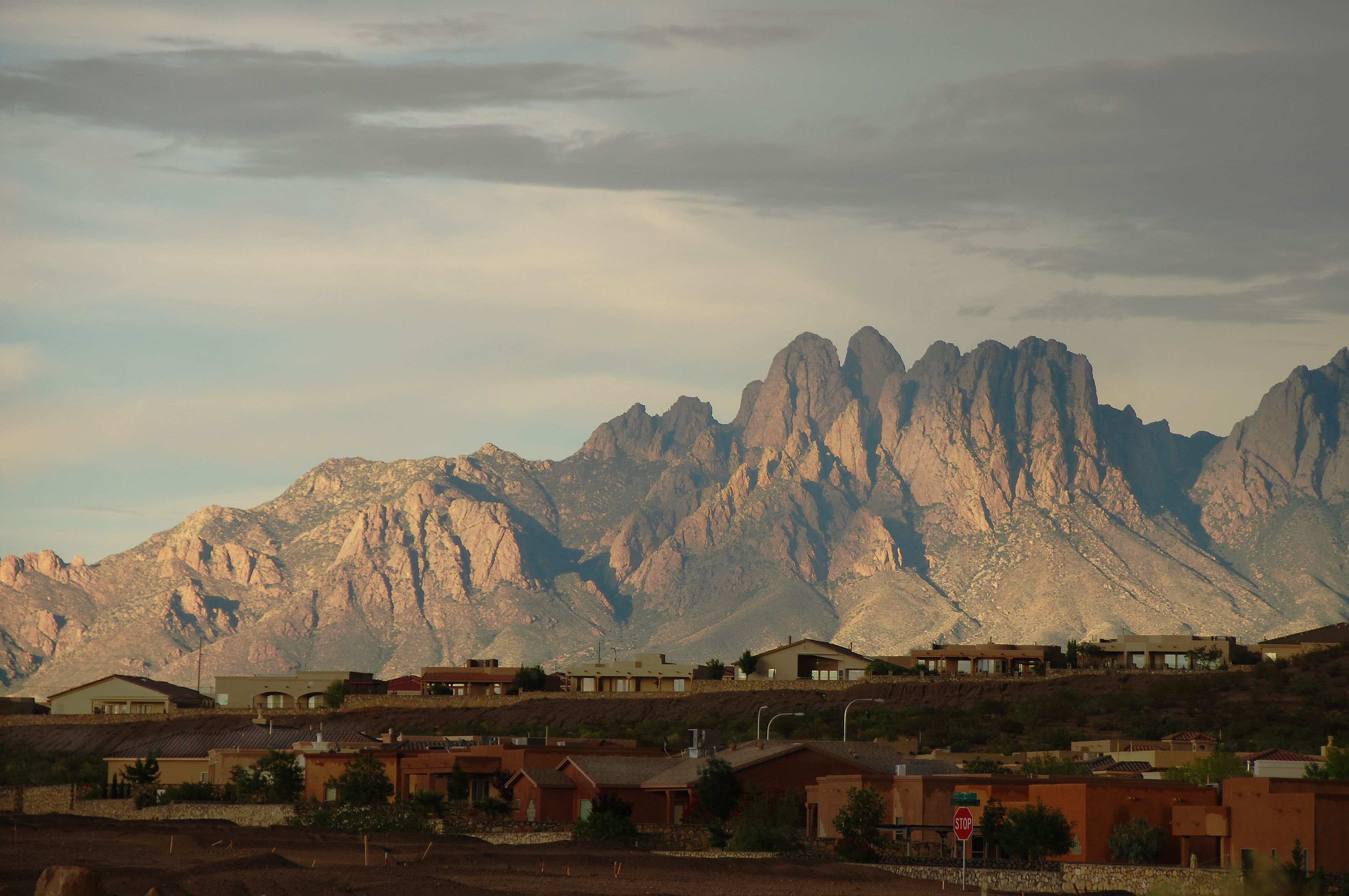 new mexico community