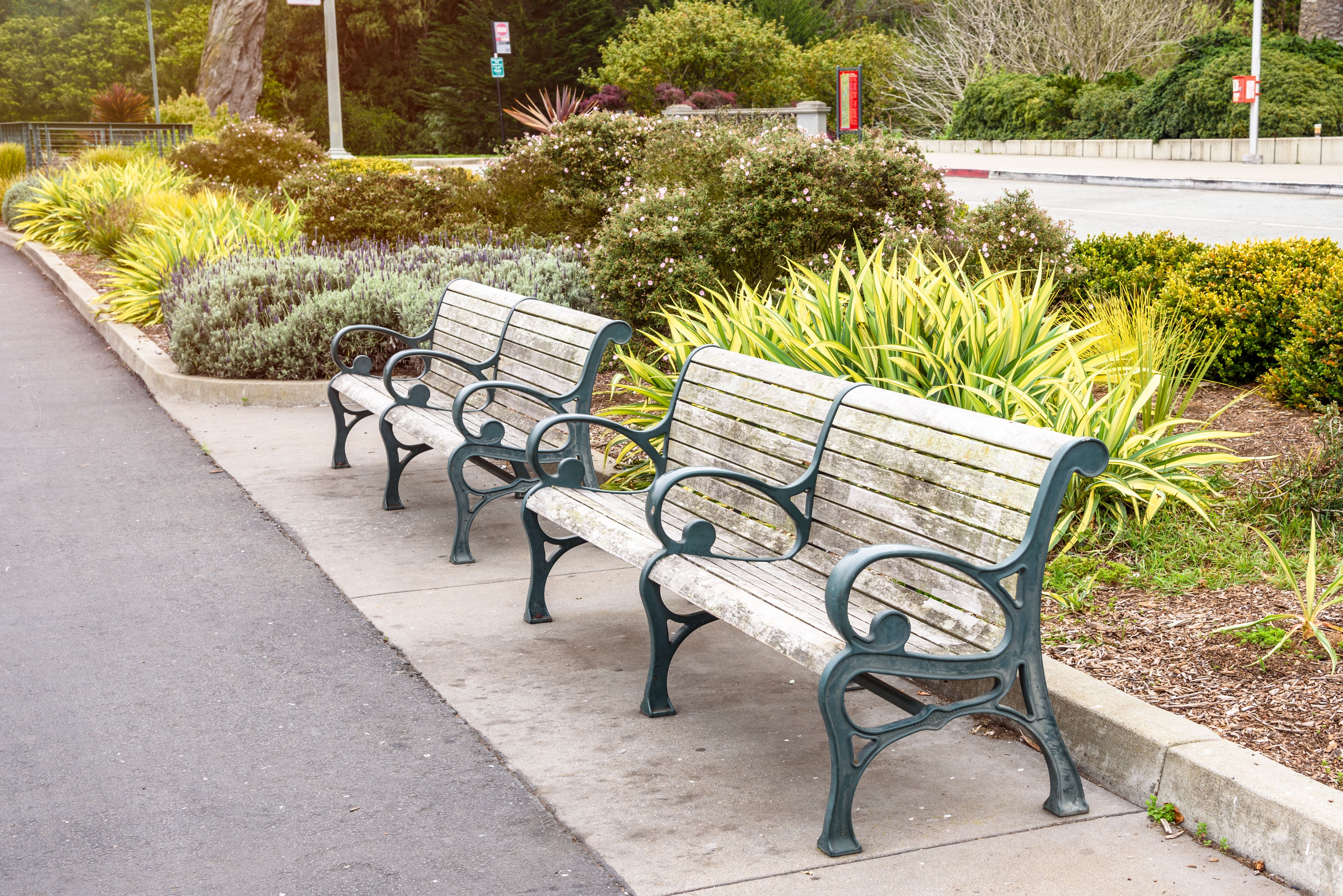 golden gate park autumn