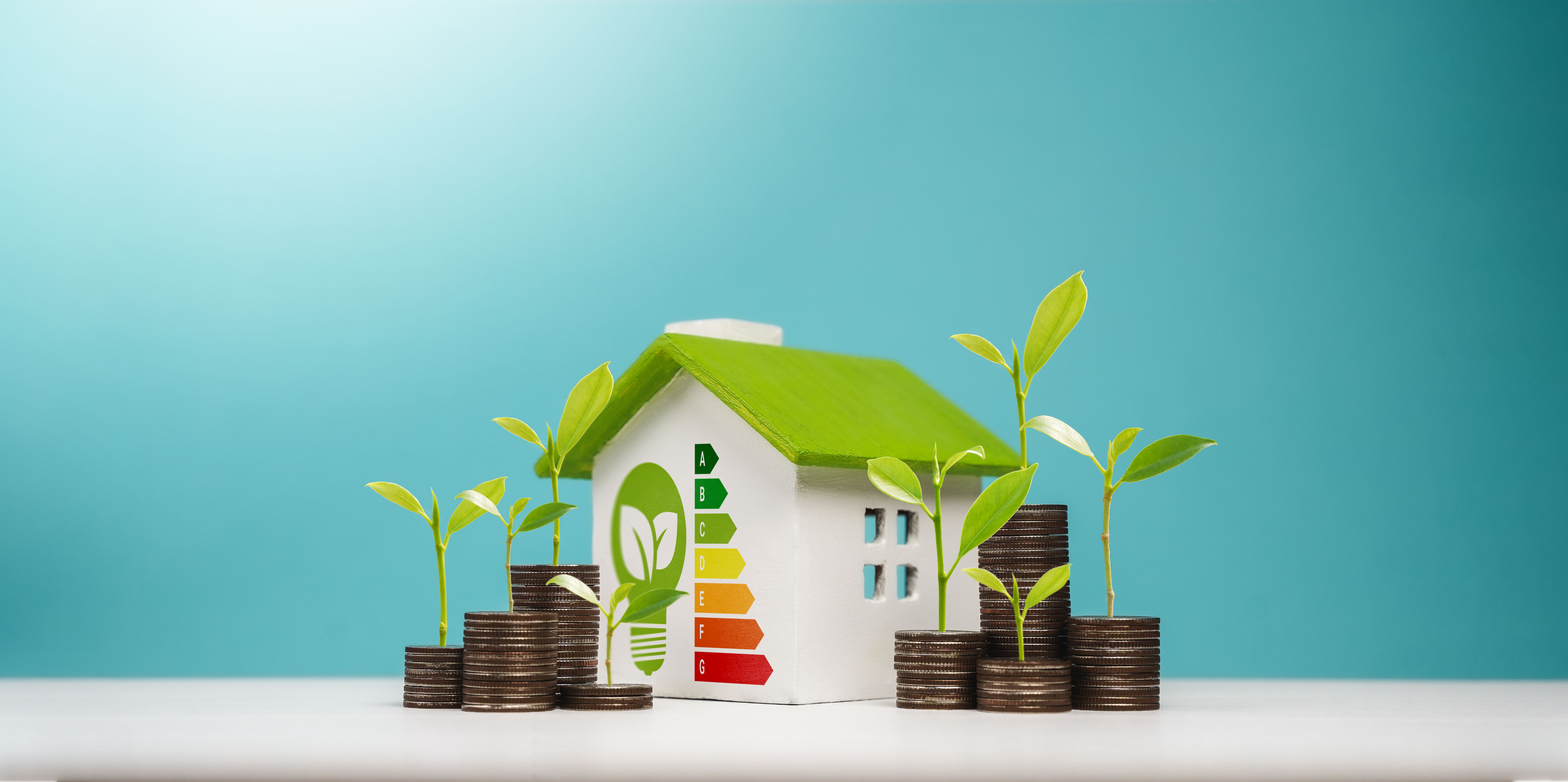 energy efficient home