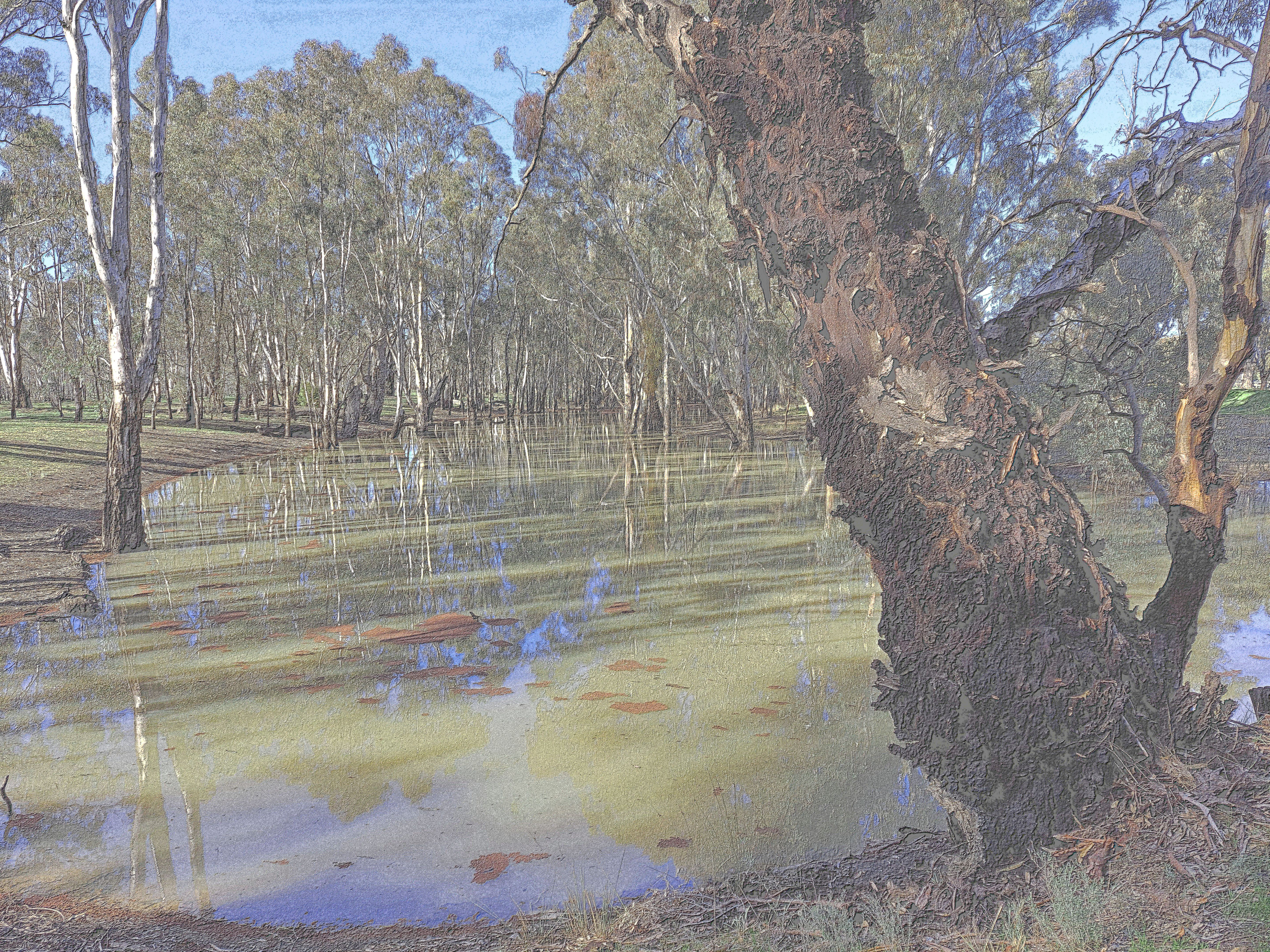 Australian landscape painting