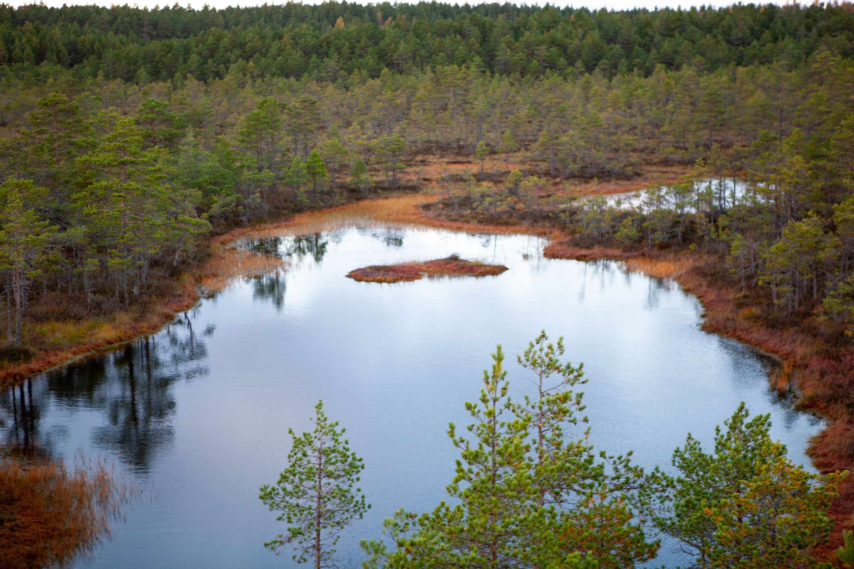 year-round landscape