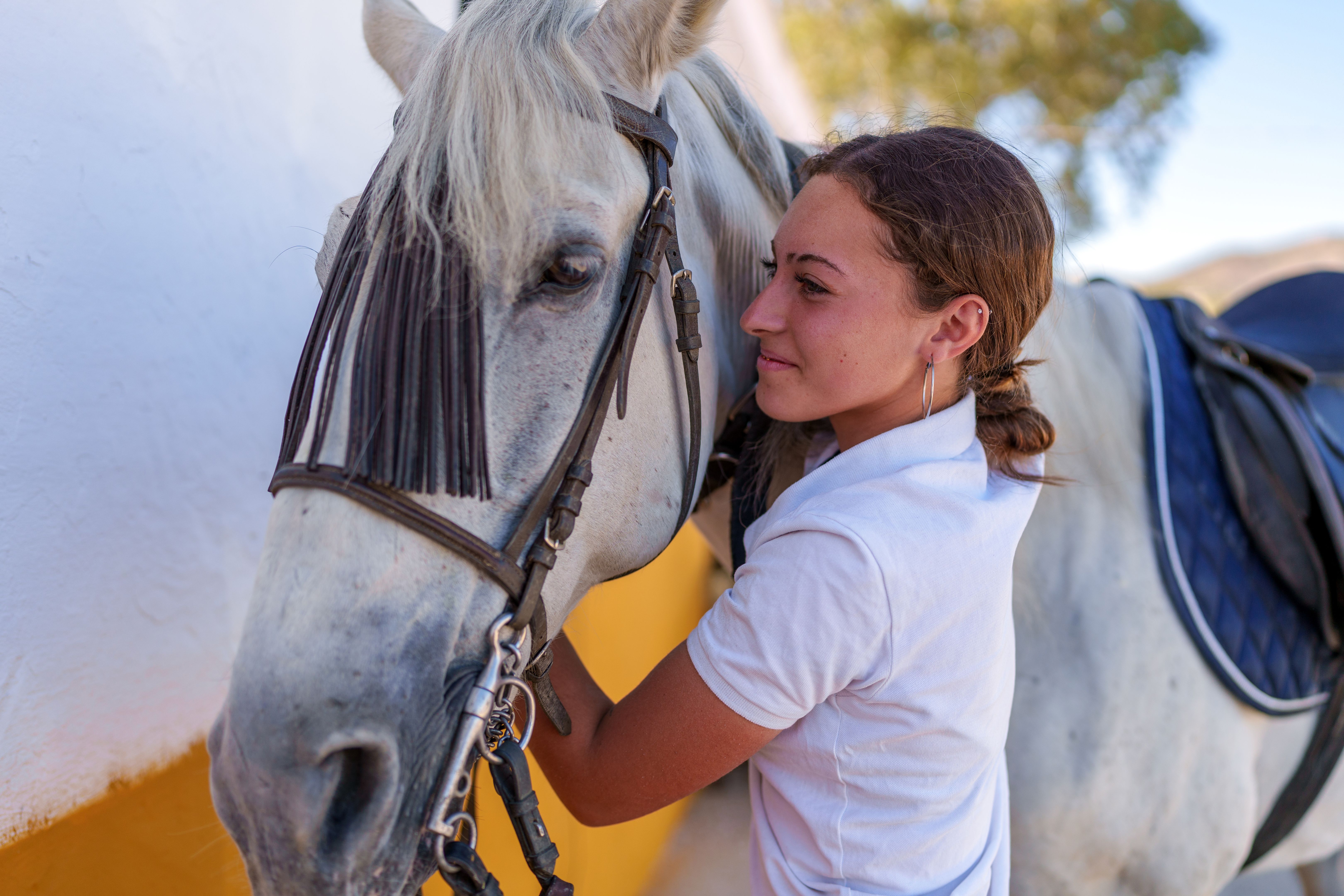 horse owner