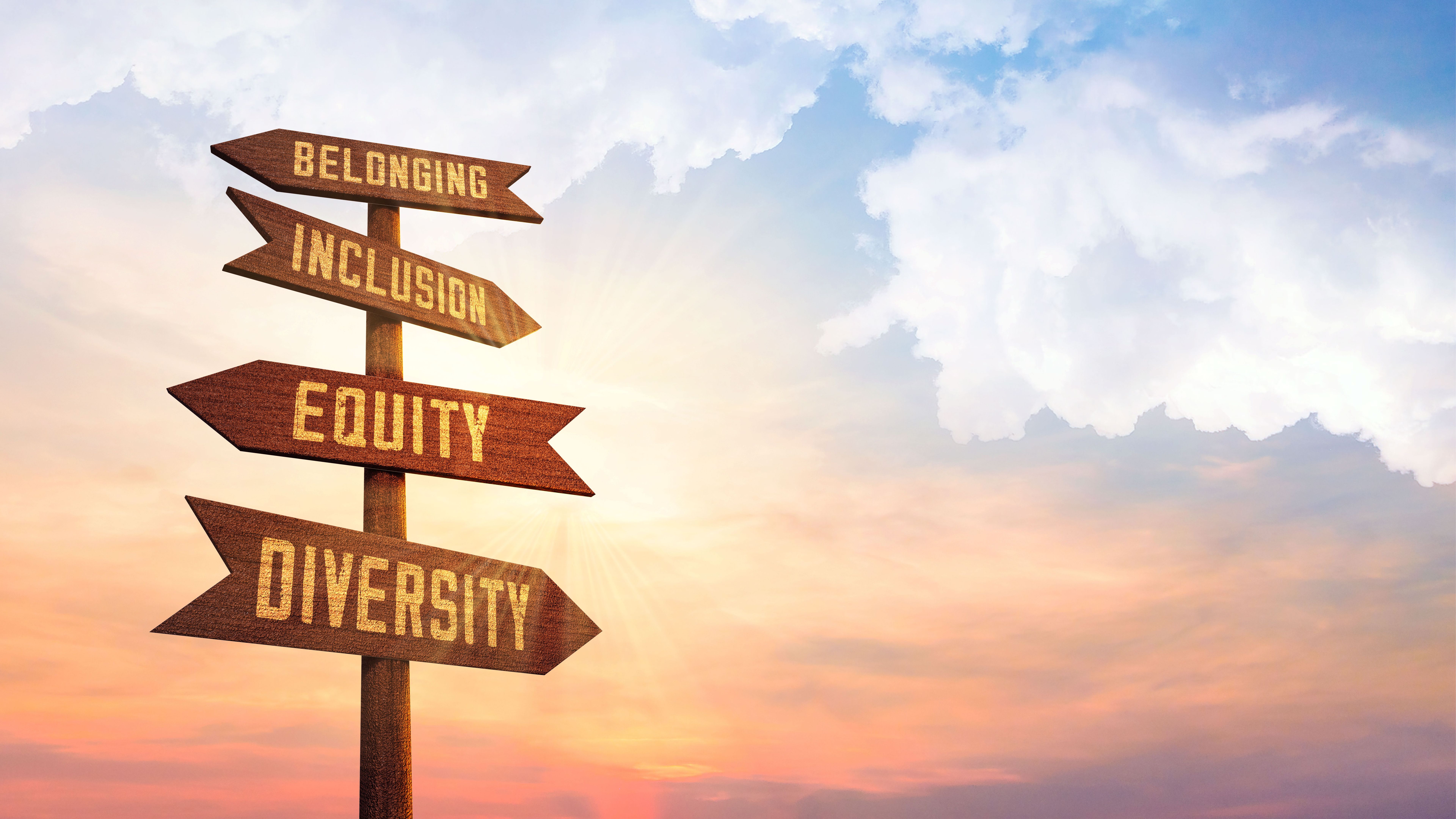 diversity inclusion