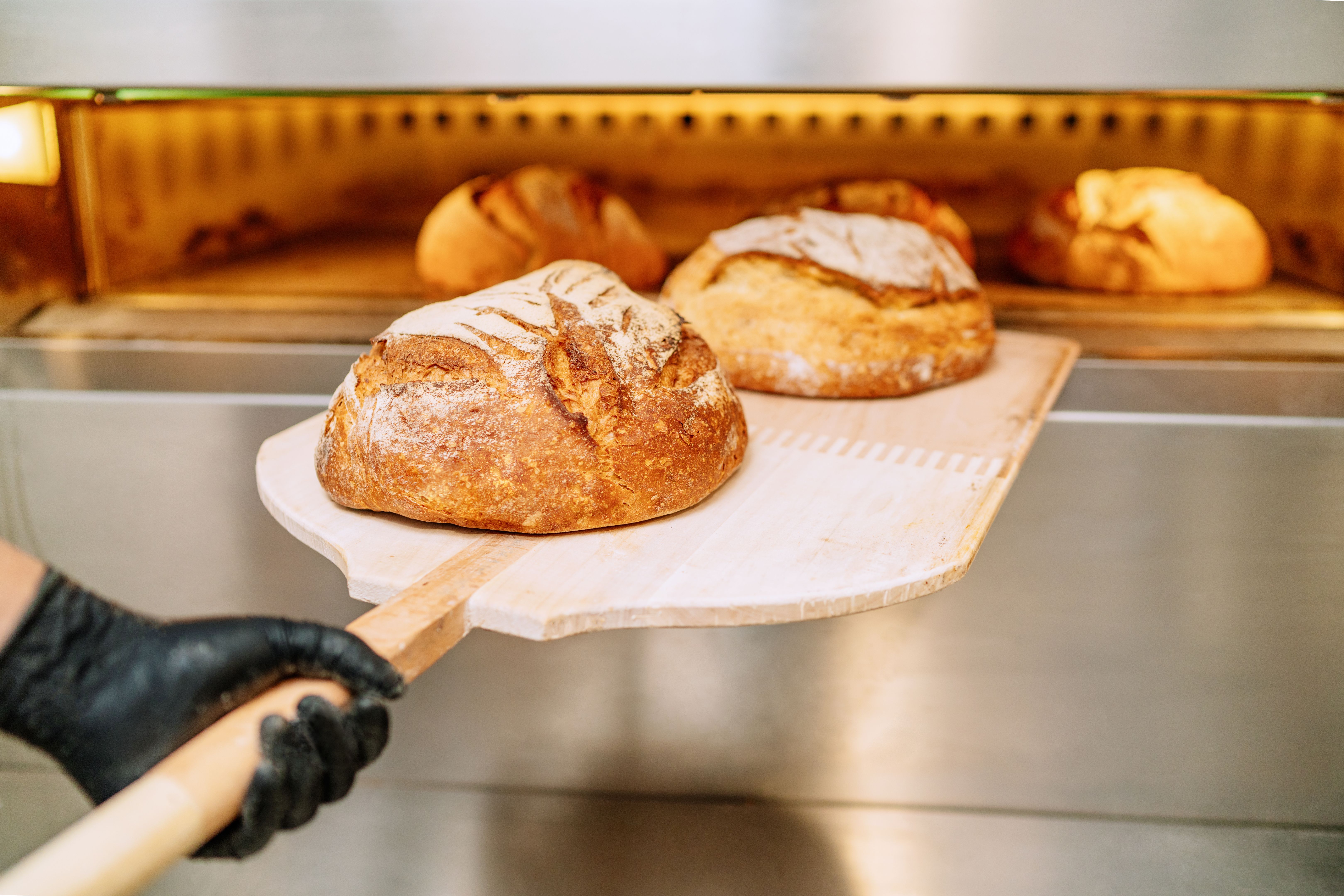 bakery bread