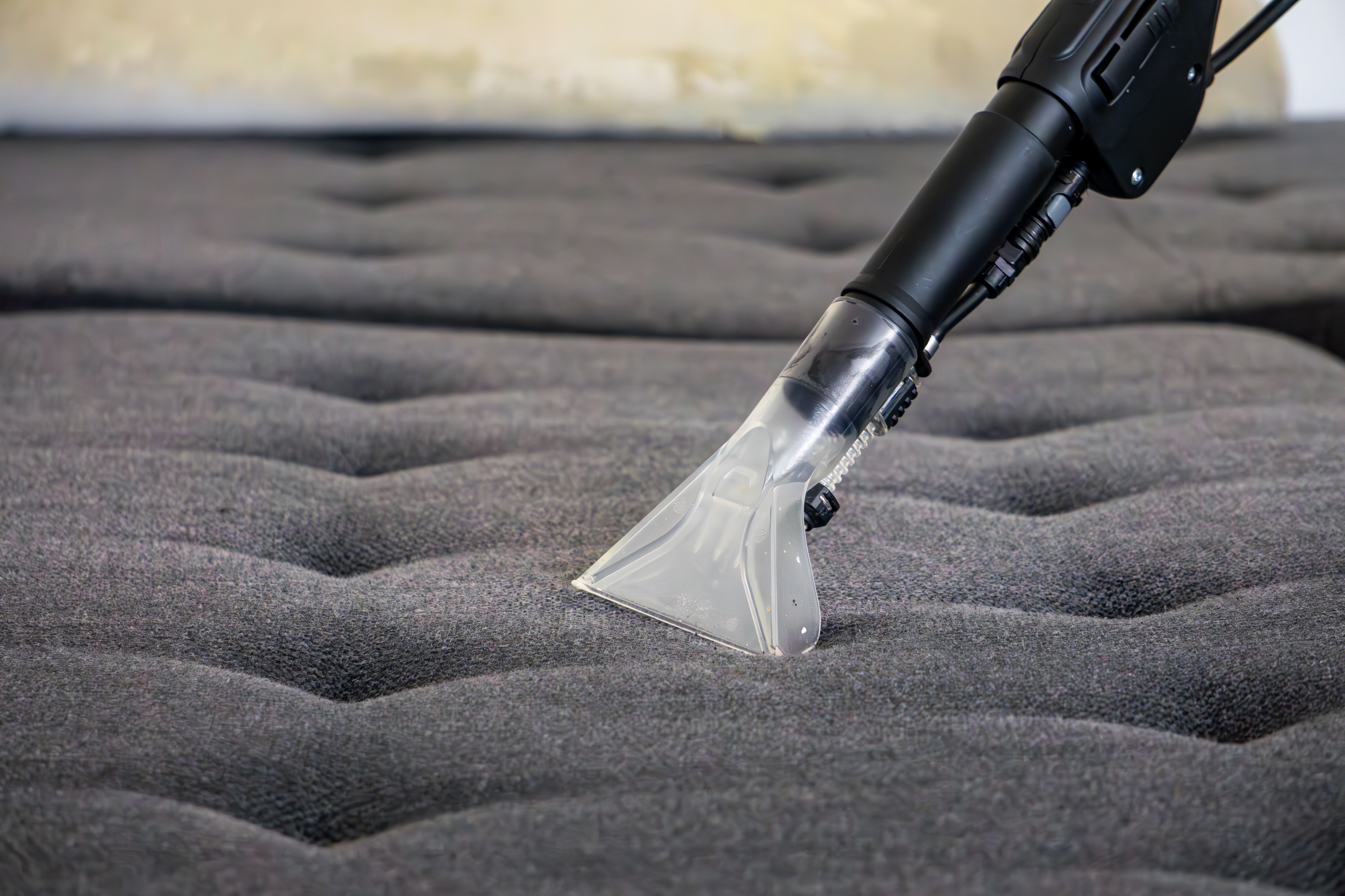 professional cleaning service