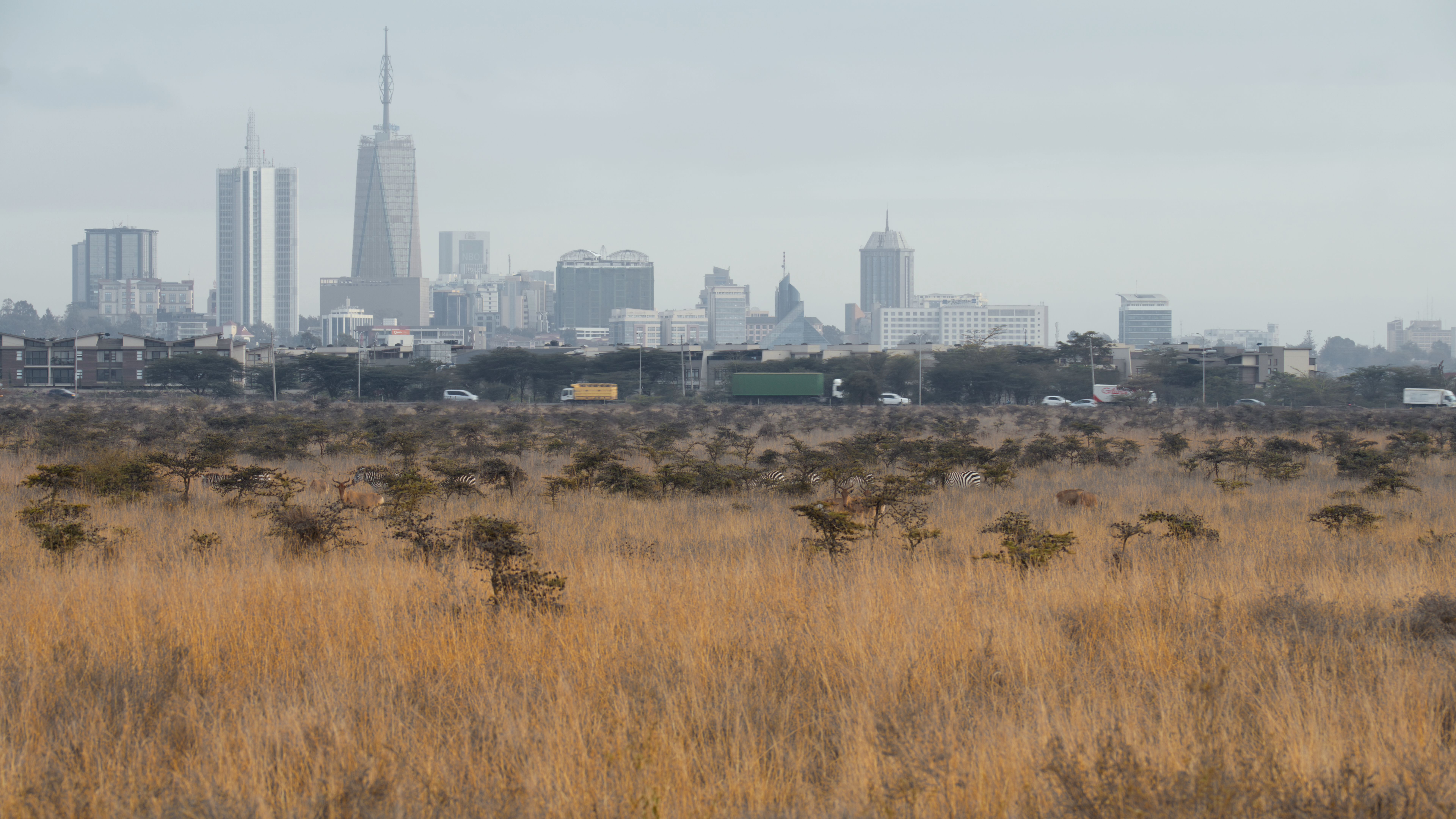 nairobi safari