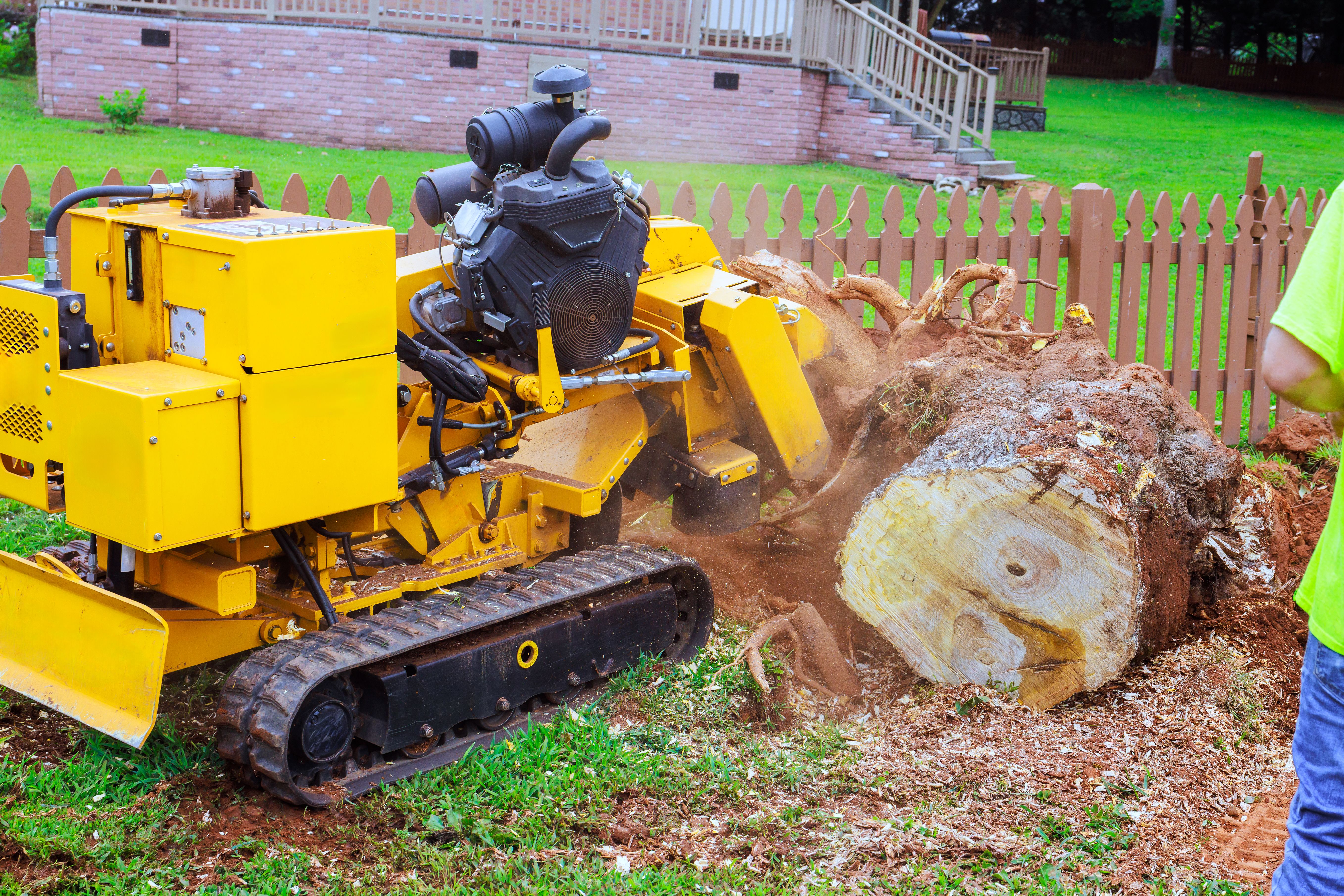 stump grinding