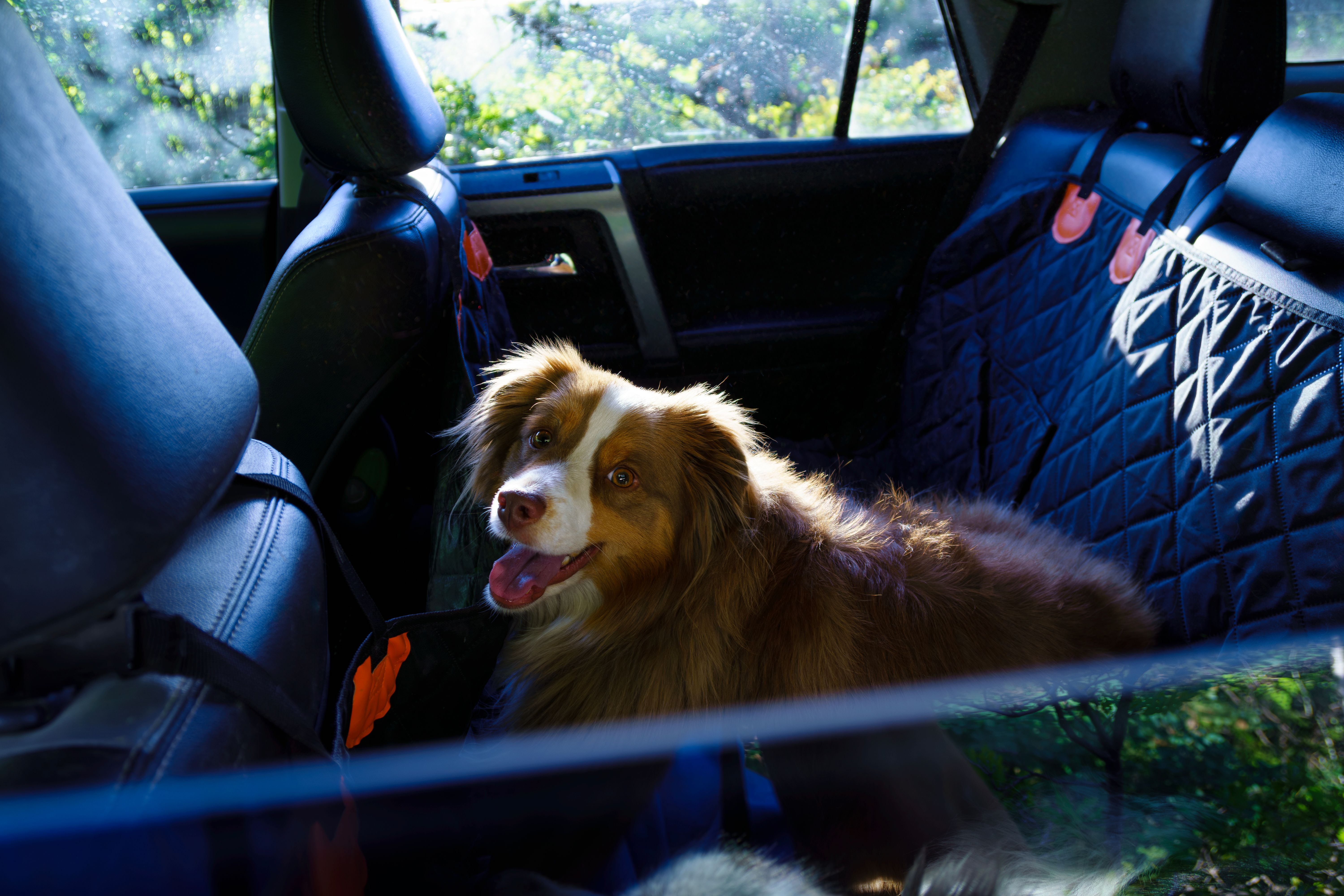 根據車友們反映,使用下來因為整體的防護效果和穩定性沒有這麼好,也有機會在購買時容易踩雷。 根據車友們反映,使用下來因為整體的防護效果和穩定性沒有這麼好,也有機會在購買時容易踩雷。