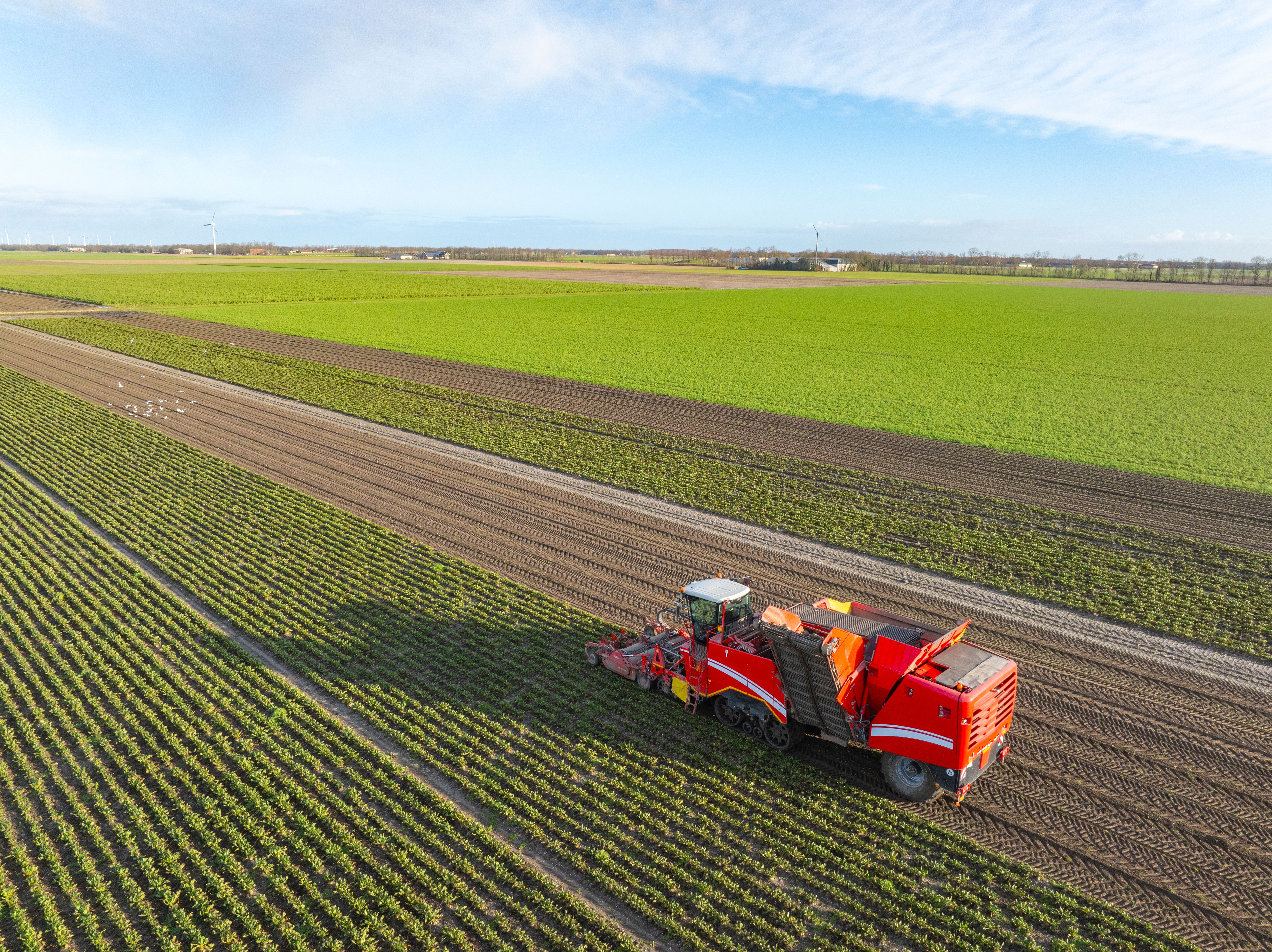 seasonal work Netherlands