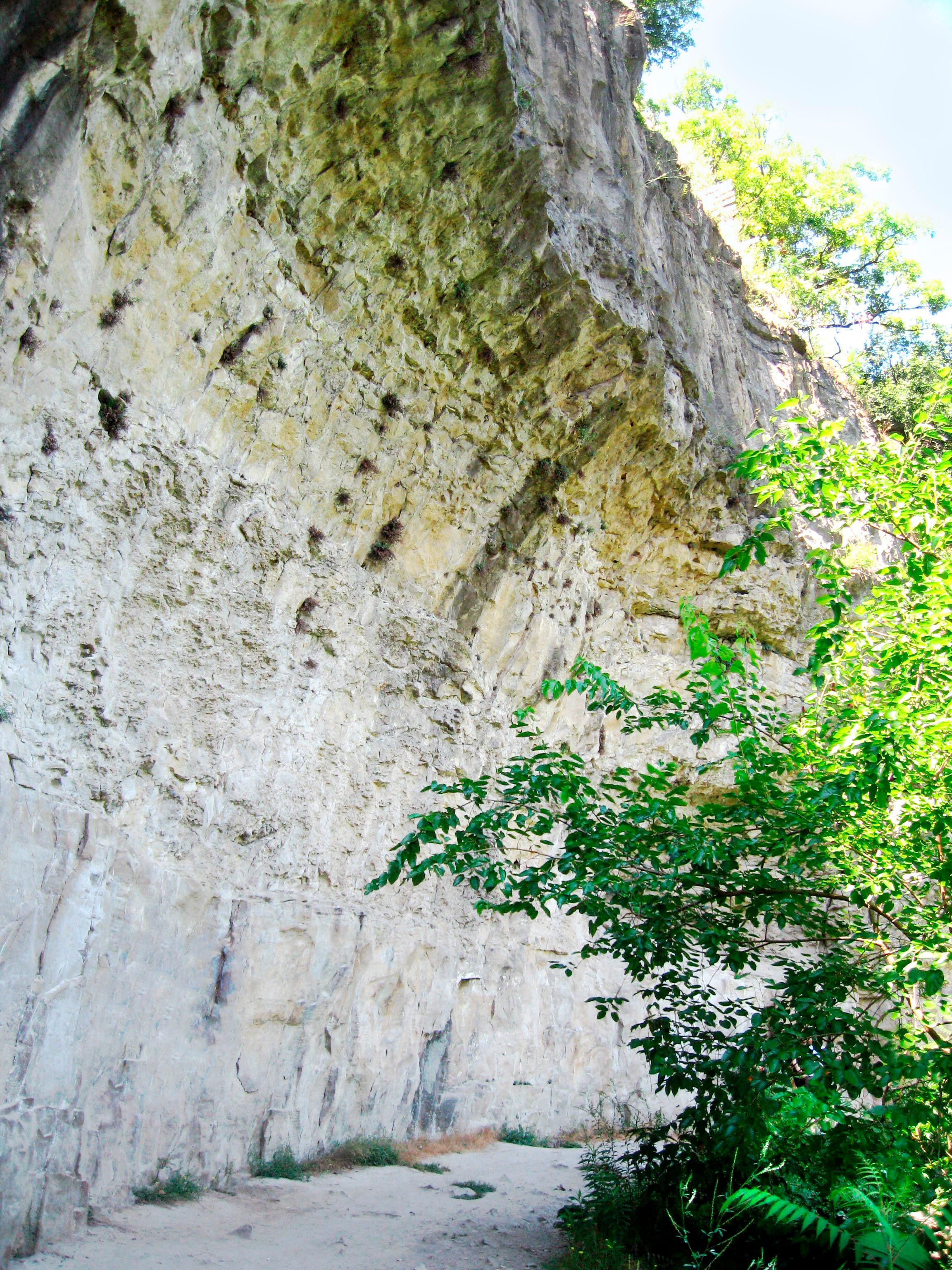 limestone gorge