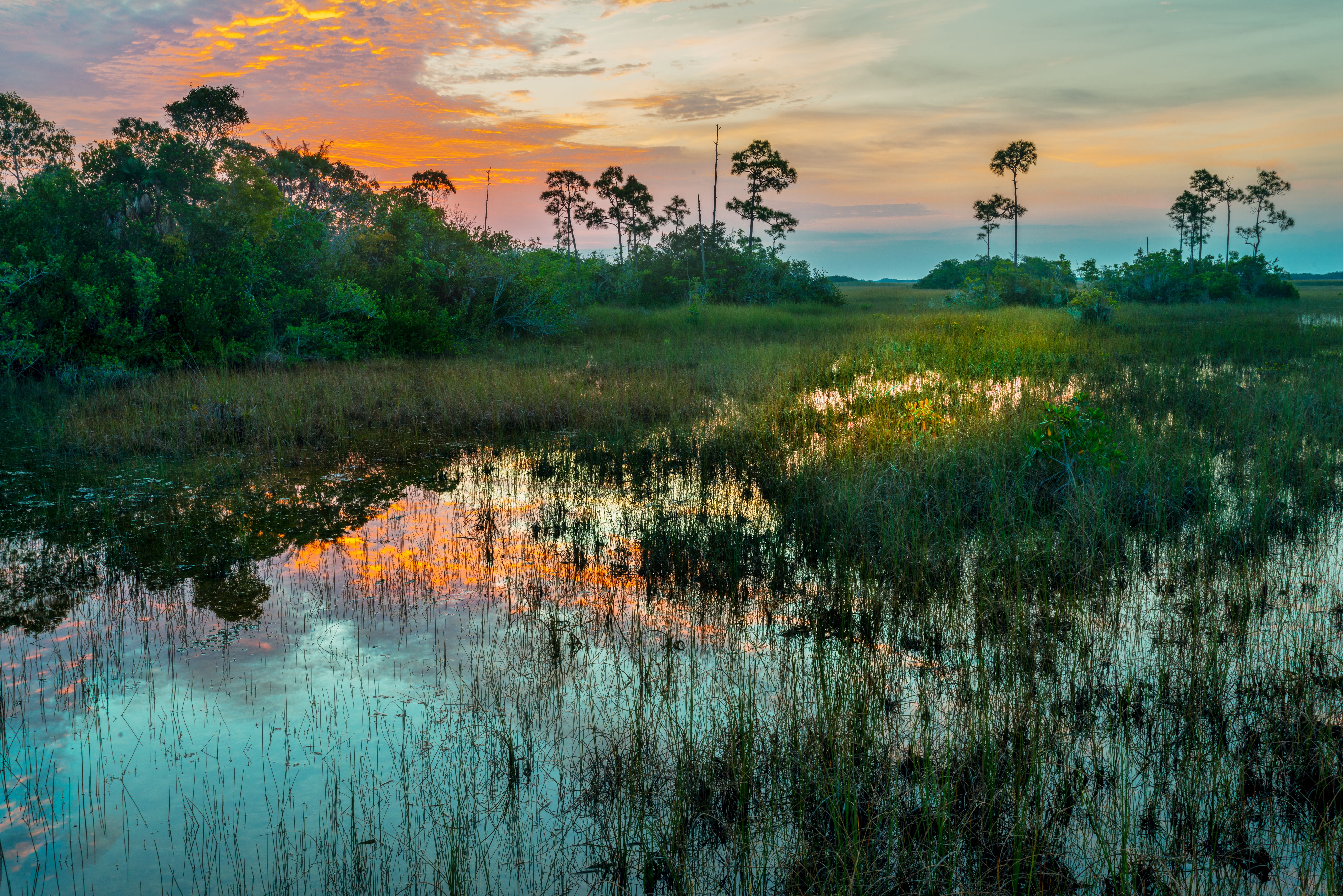 everglades national park