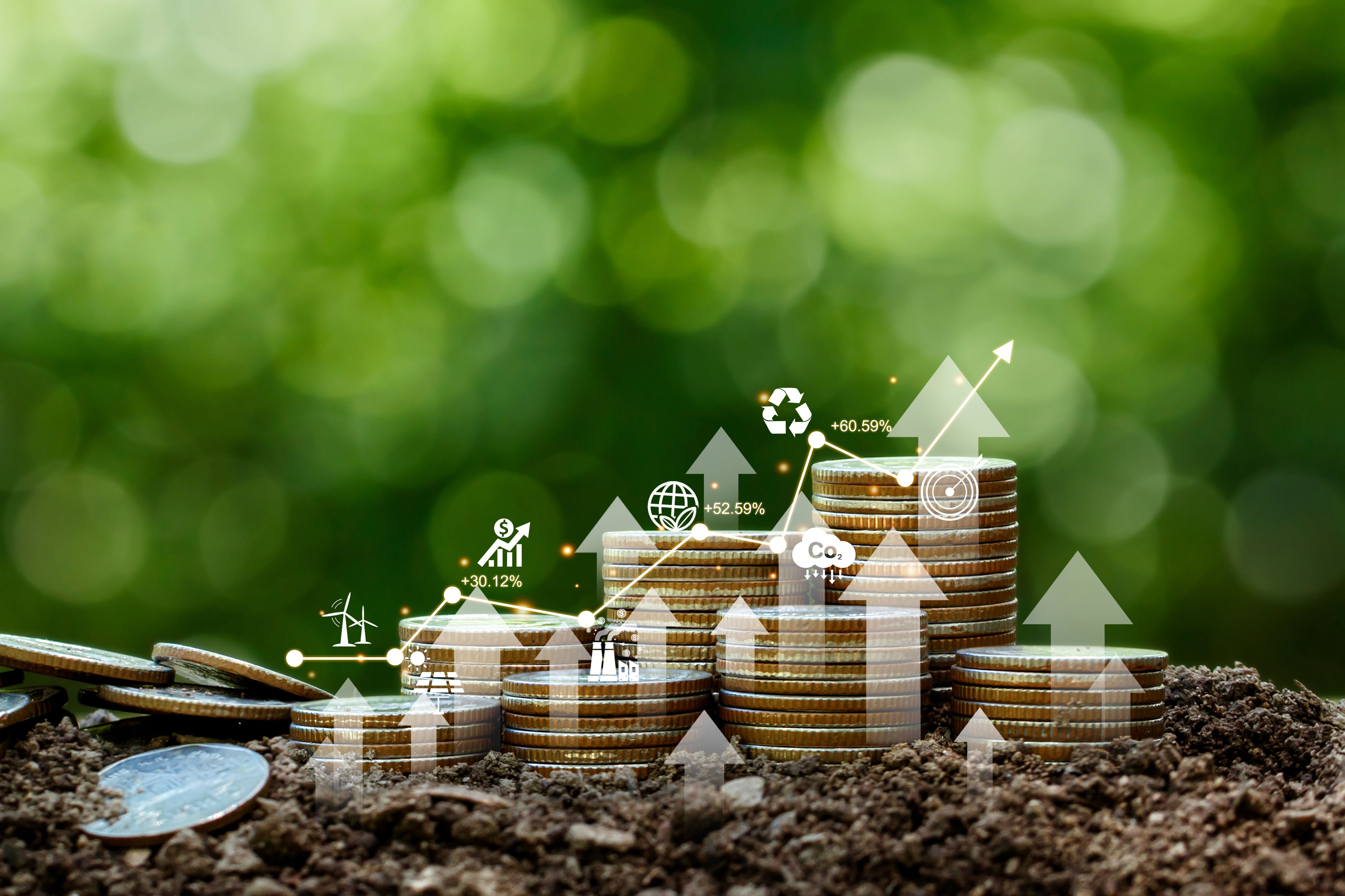 business sustainability profit