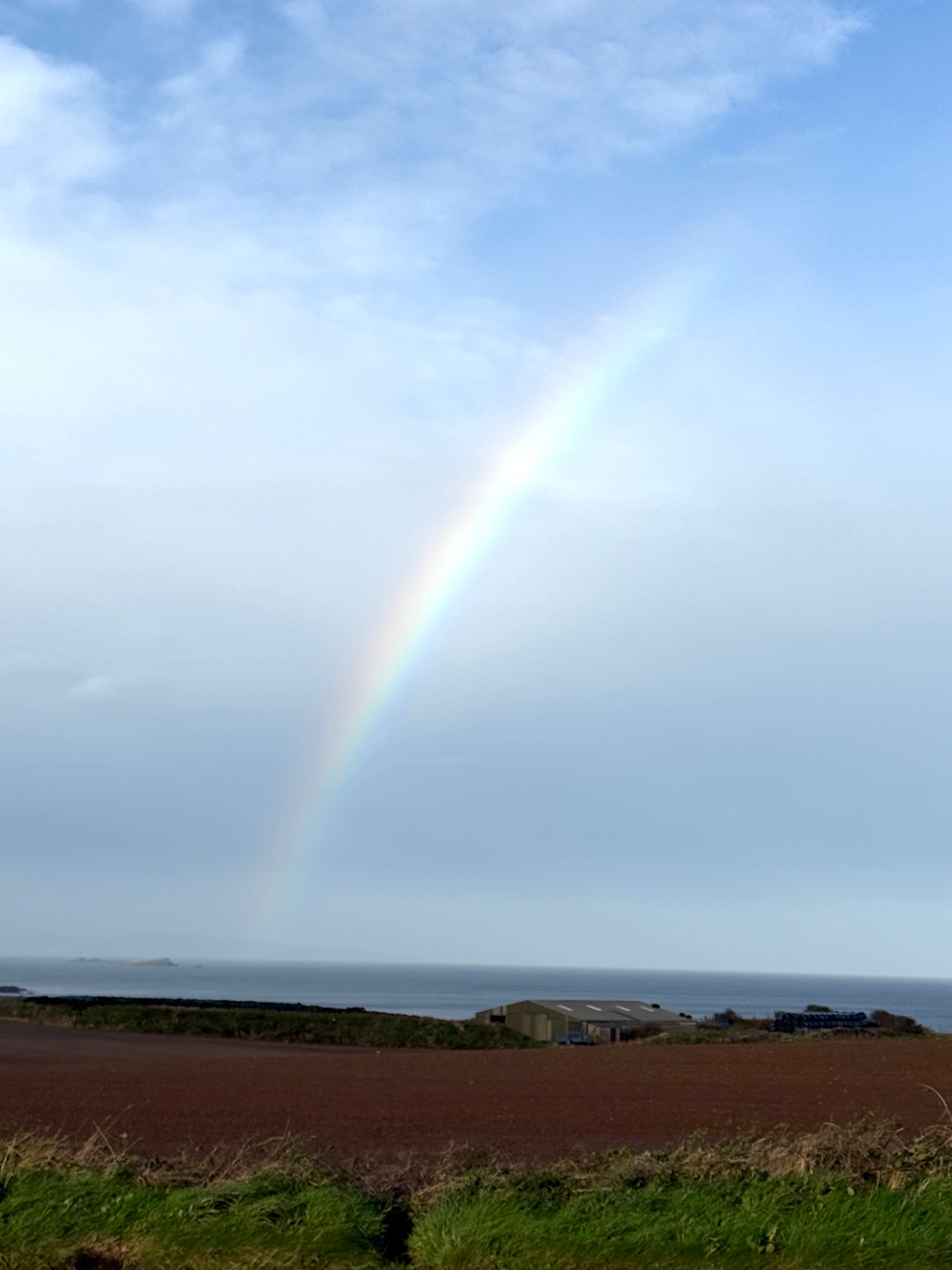 storytelling elements