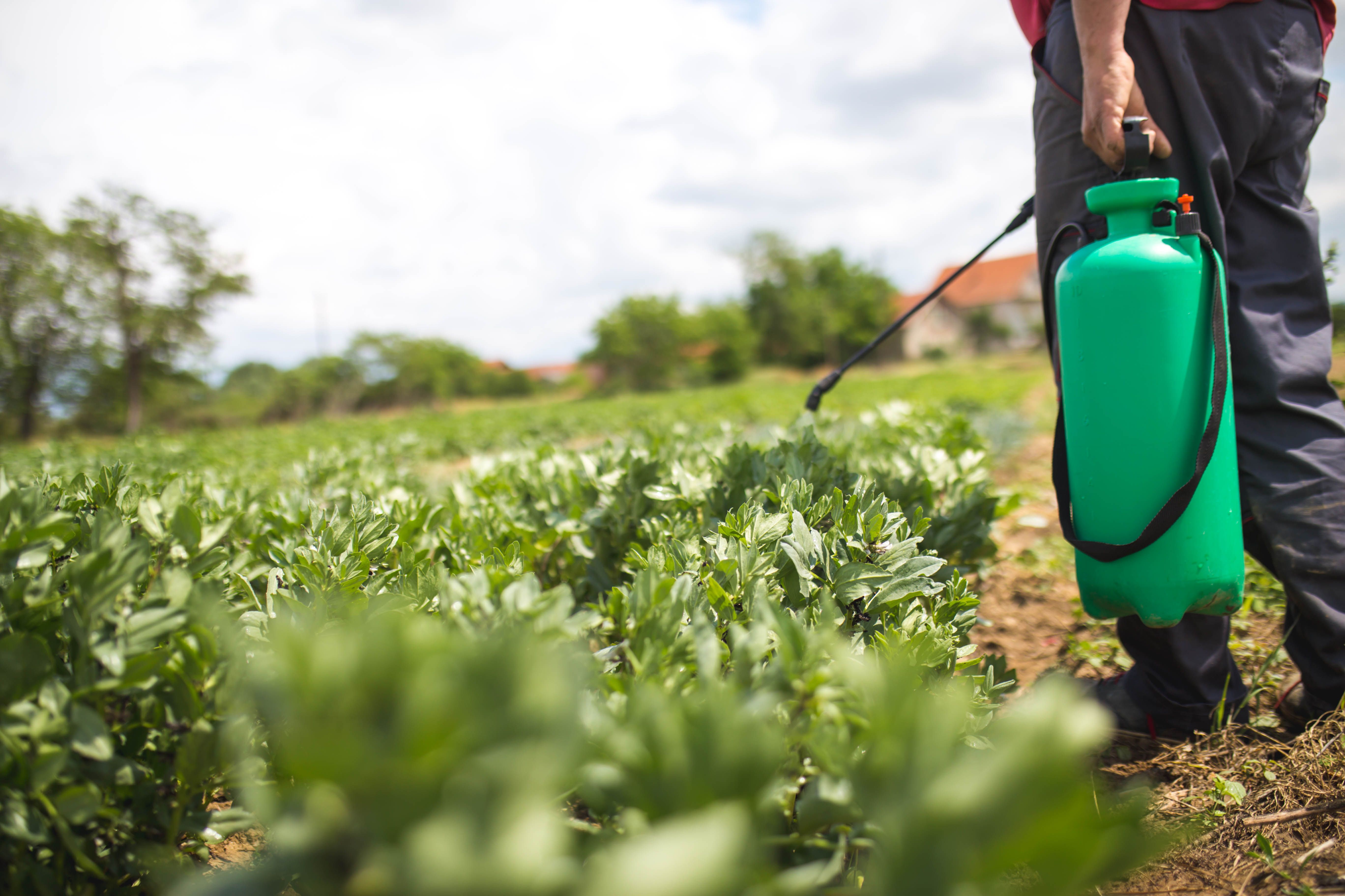 organic-fertilizer-lawn