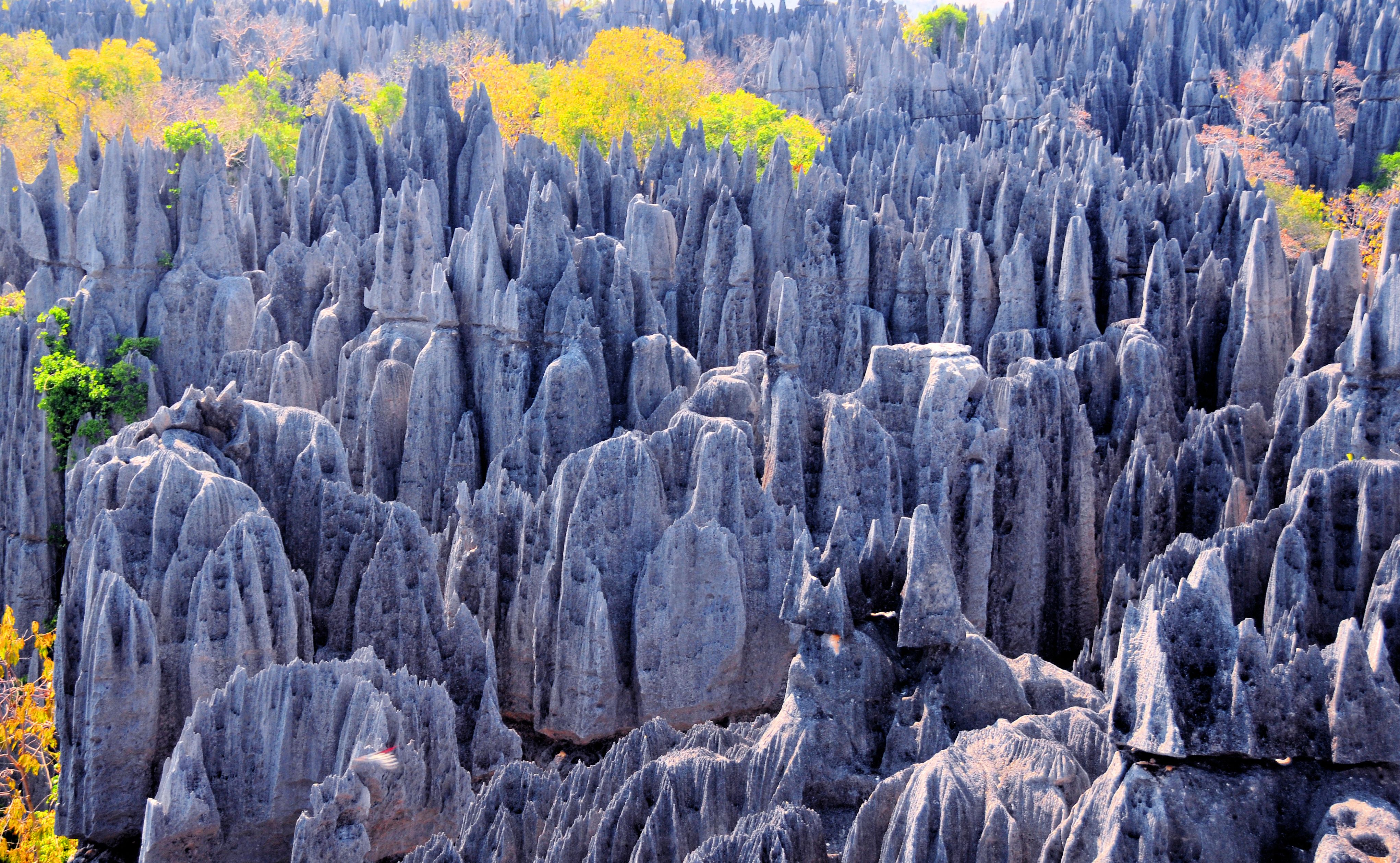 tsingy formations