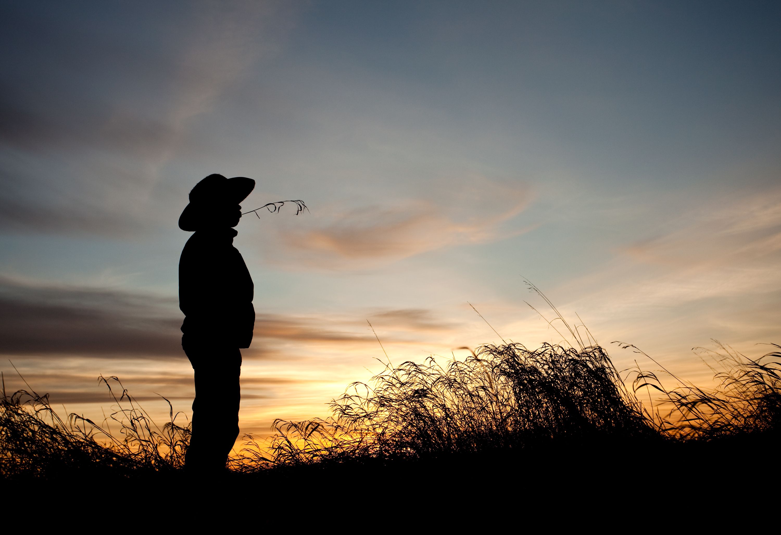 colorful cowboy hats