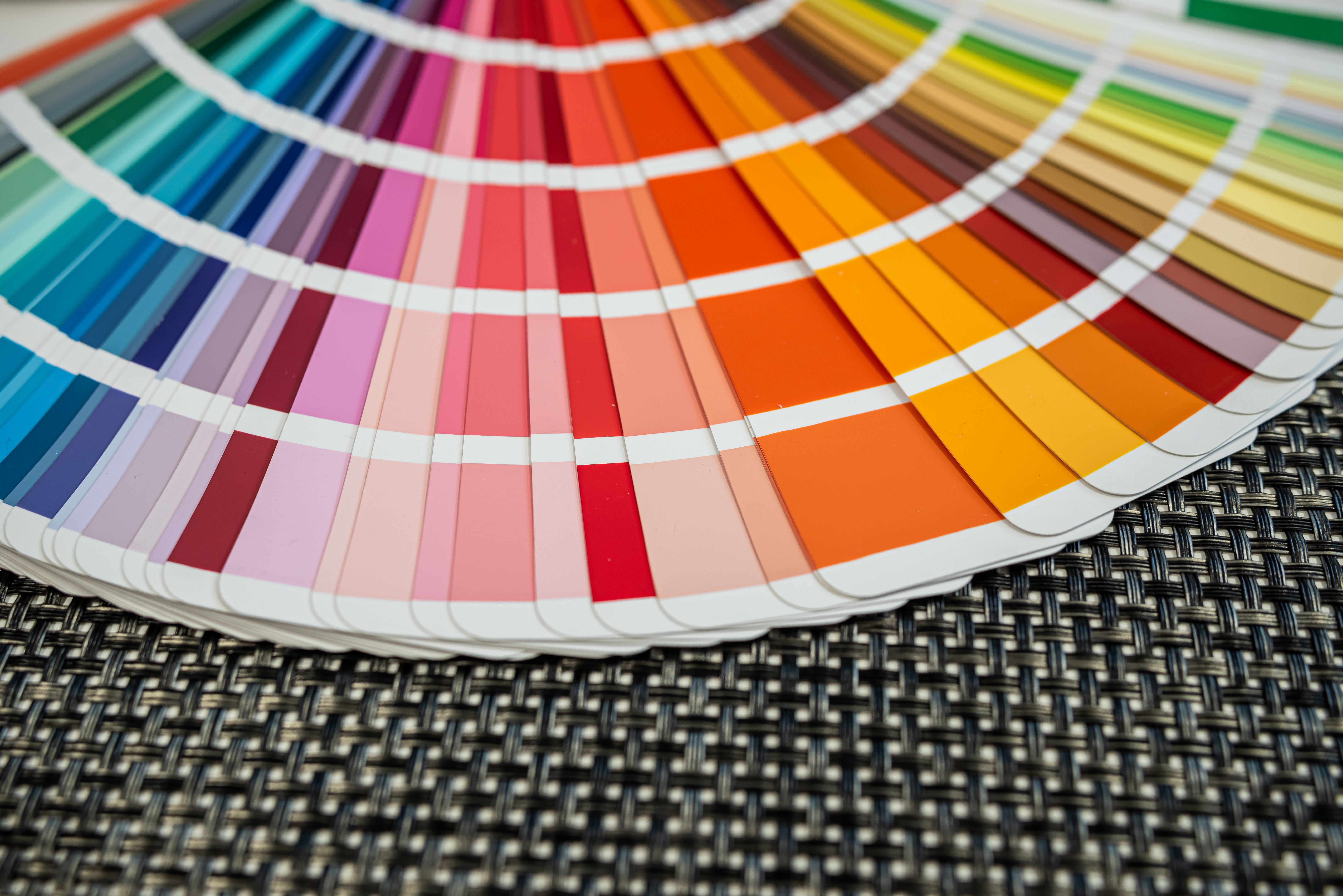 paint color selection