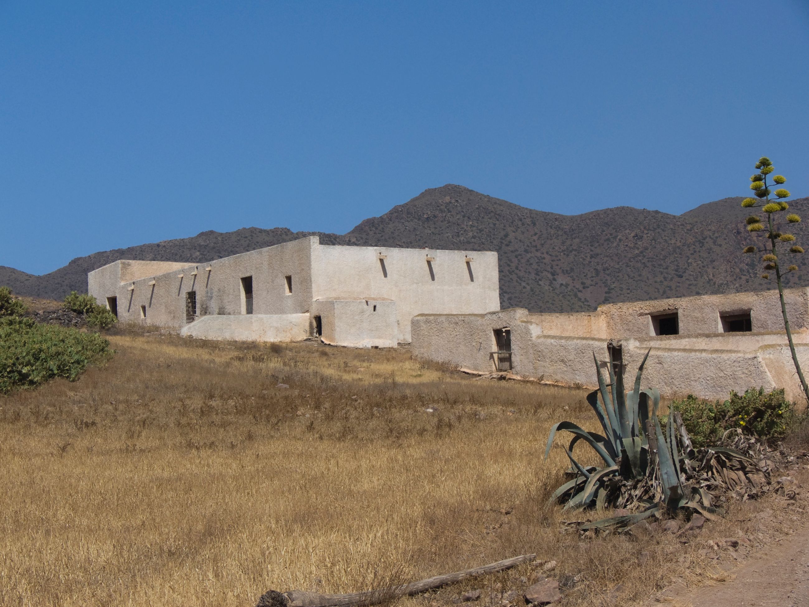 For a few dollars more For a few dollars more