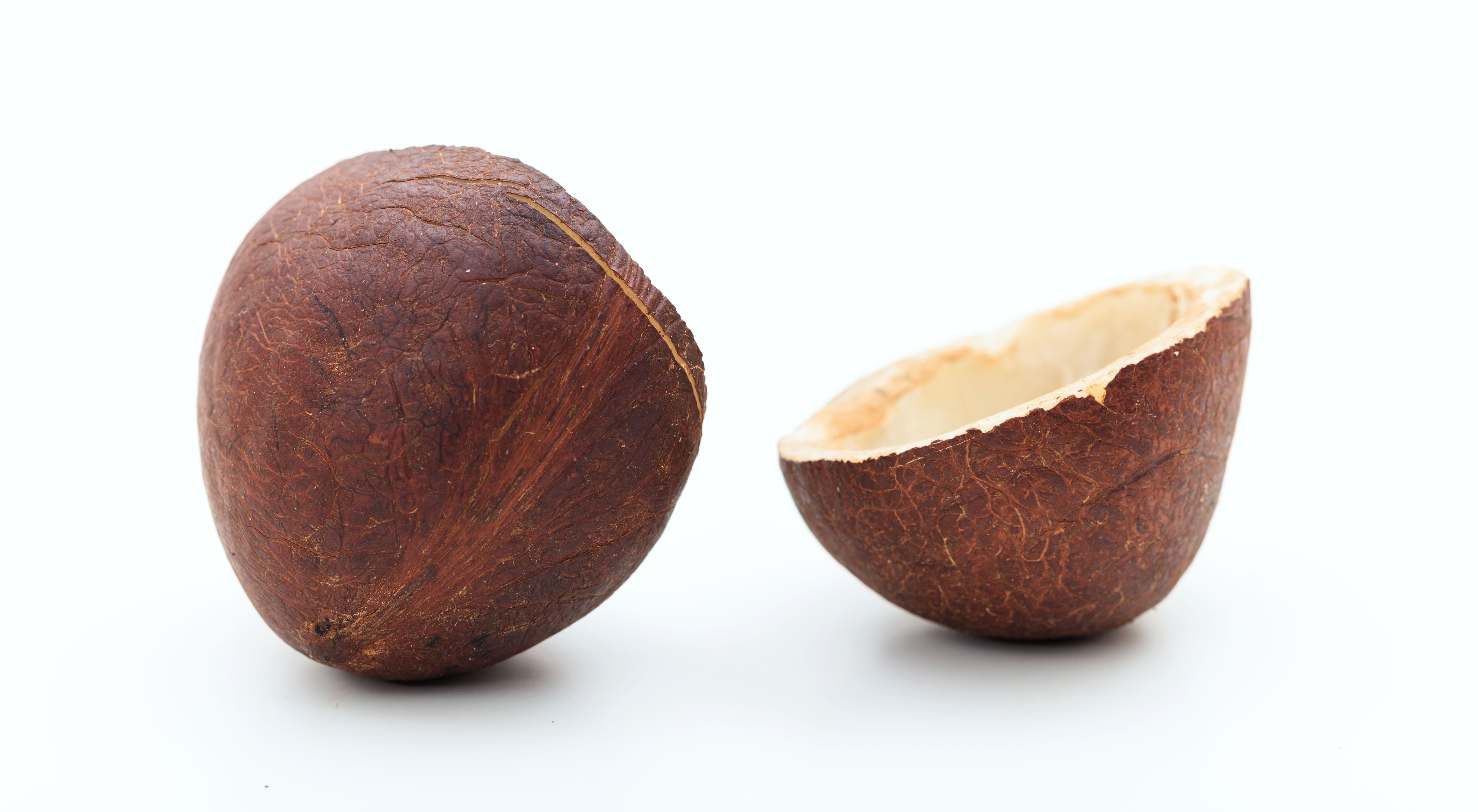 dry skin coconut