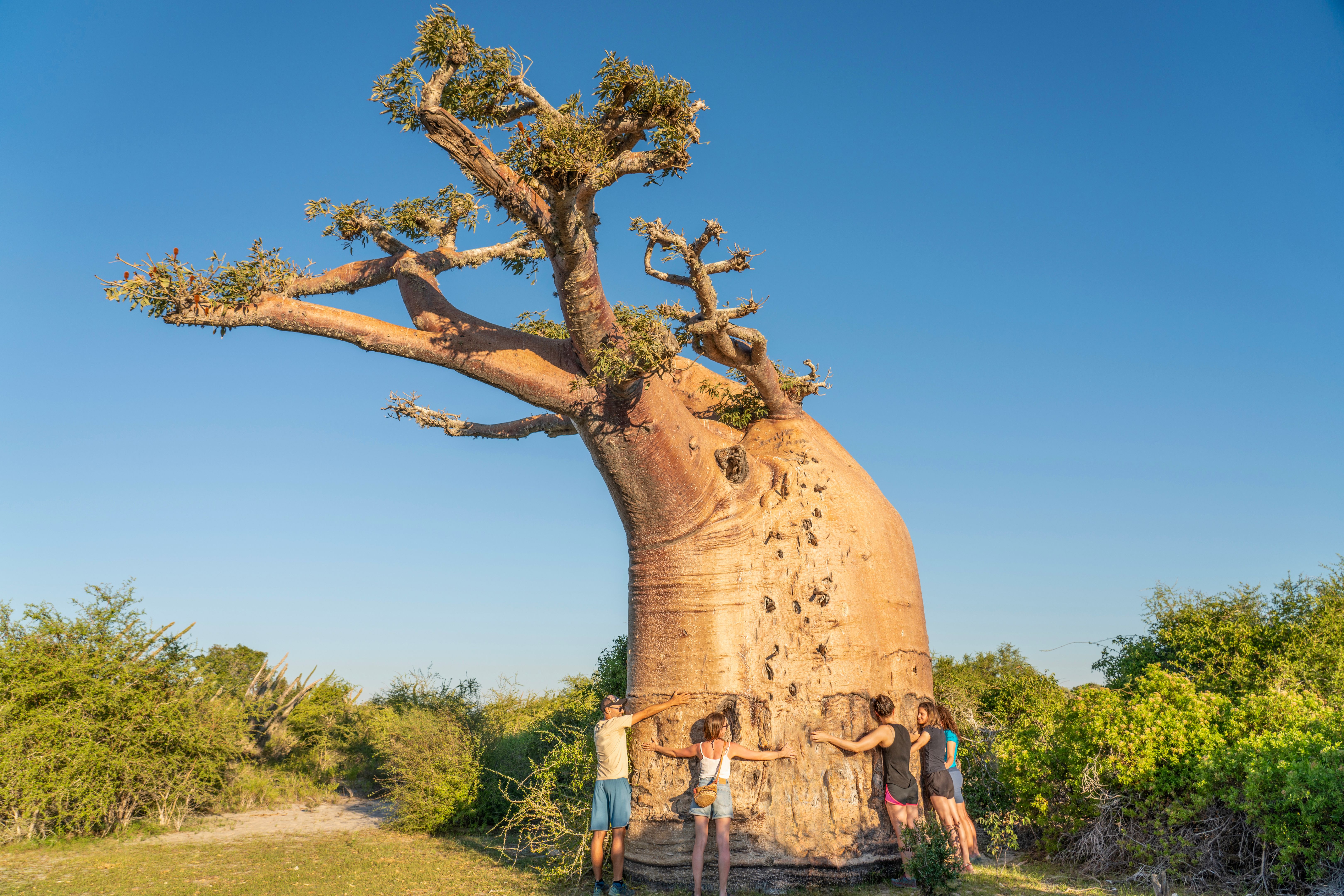 madagascar adventure