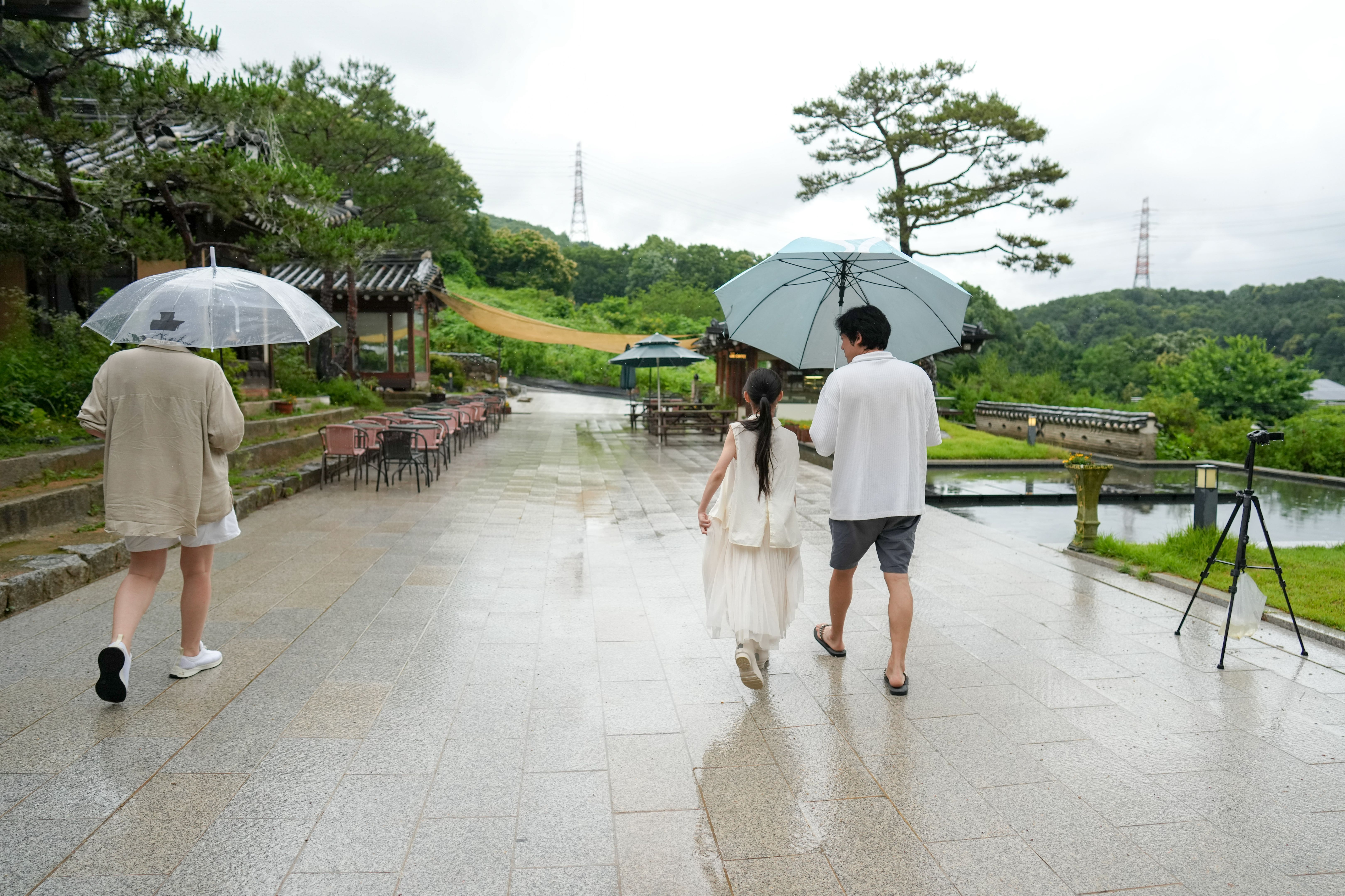summer wedding weather
