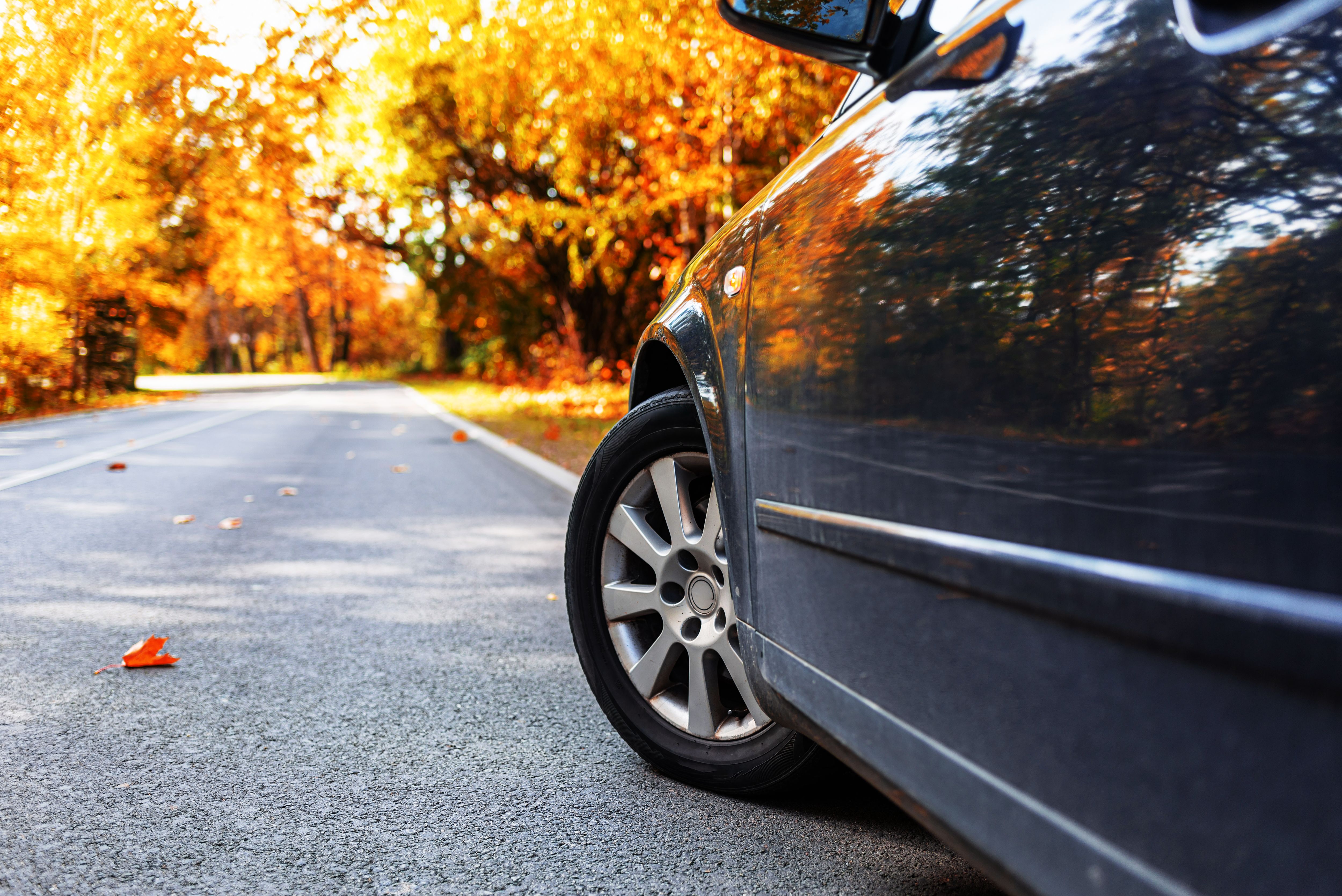 autumn car leaves