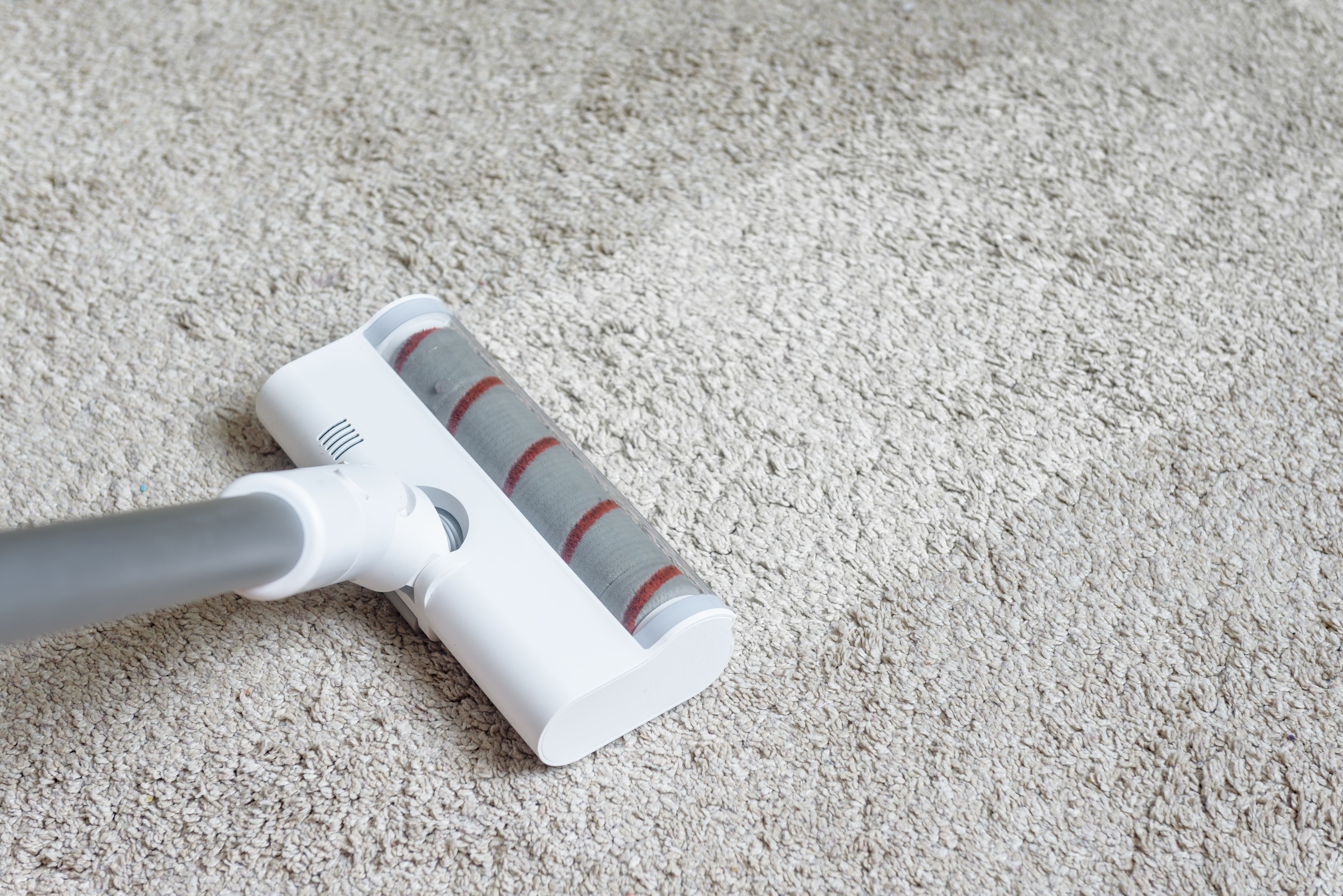 carpet maintenance tips