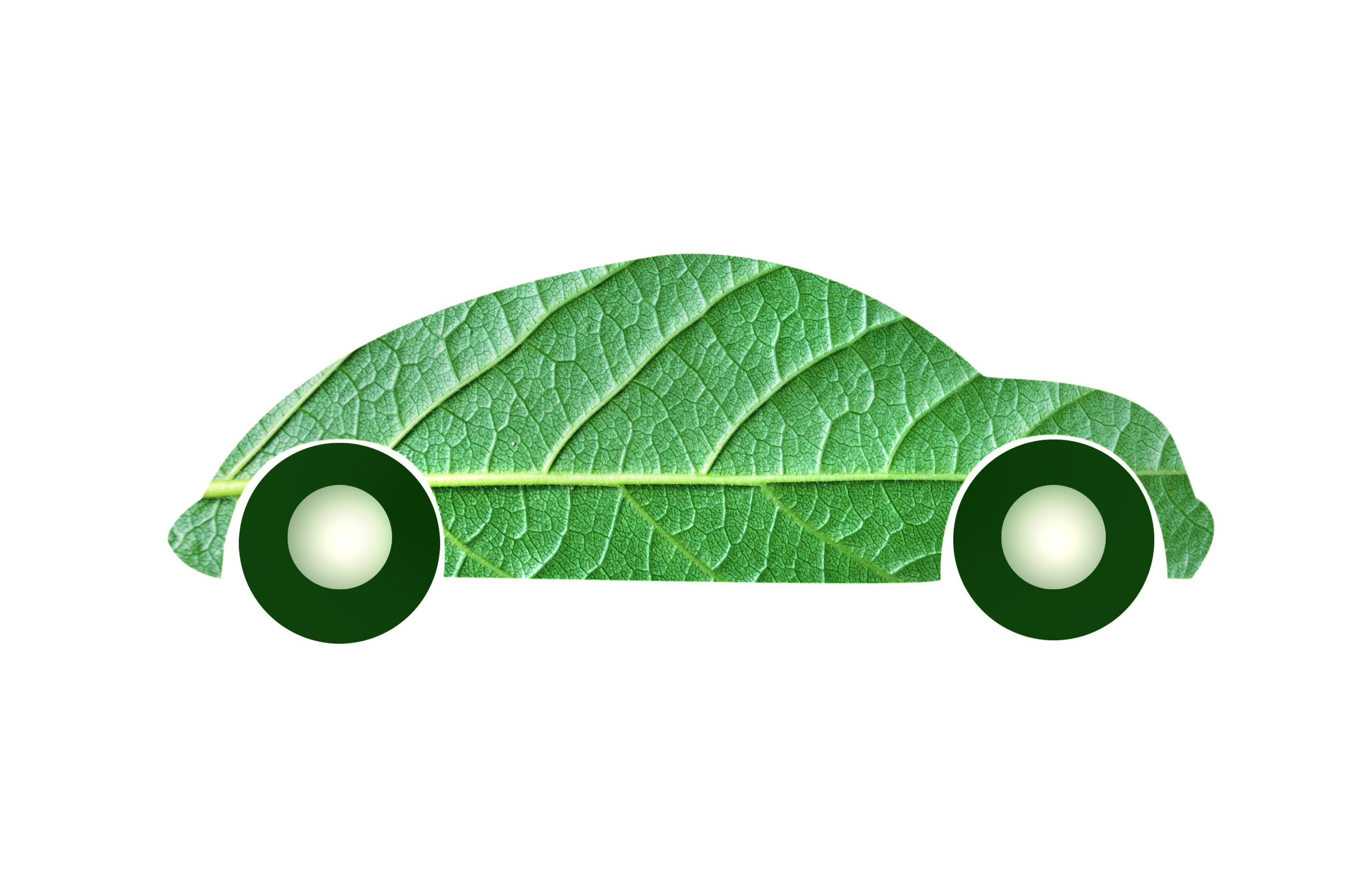 eco friendly car repair