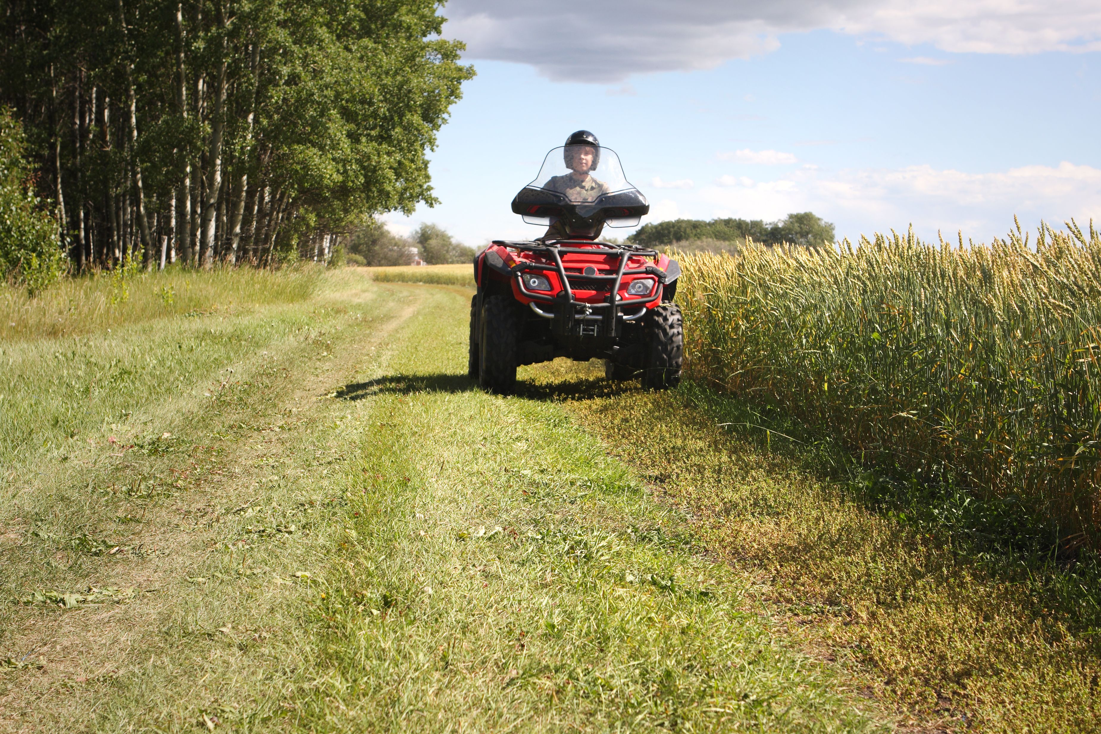 quad bike safety