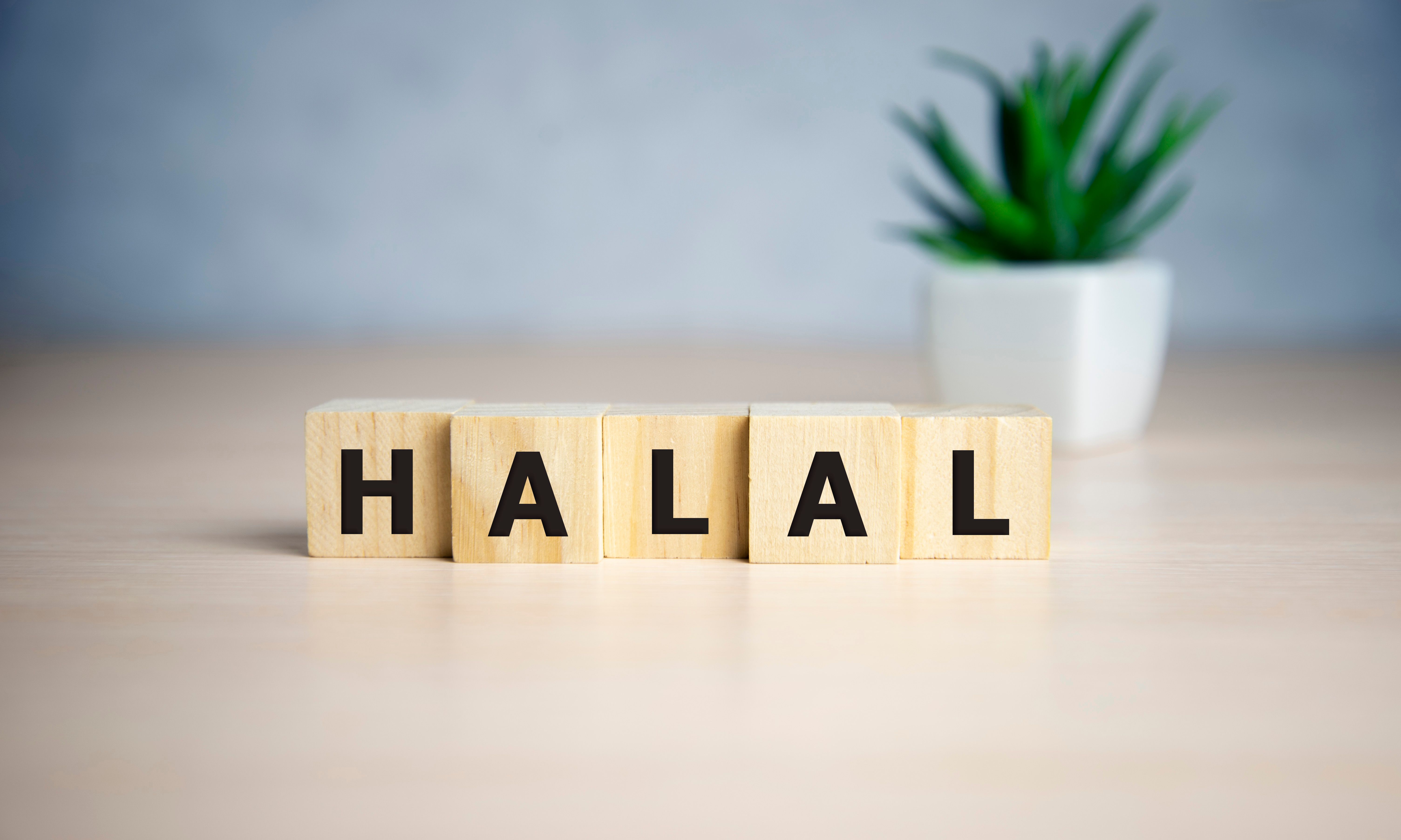 halal certification