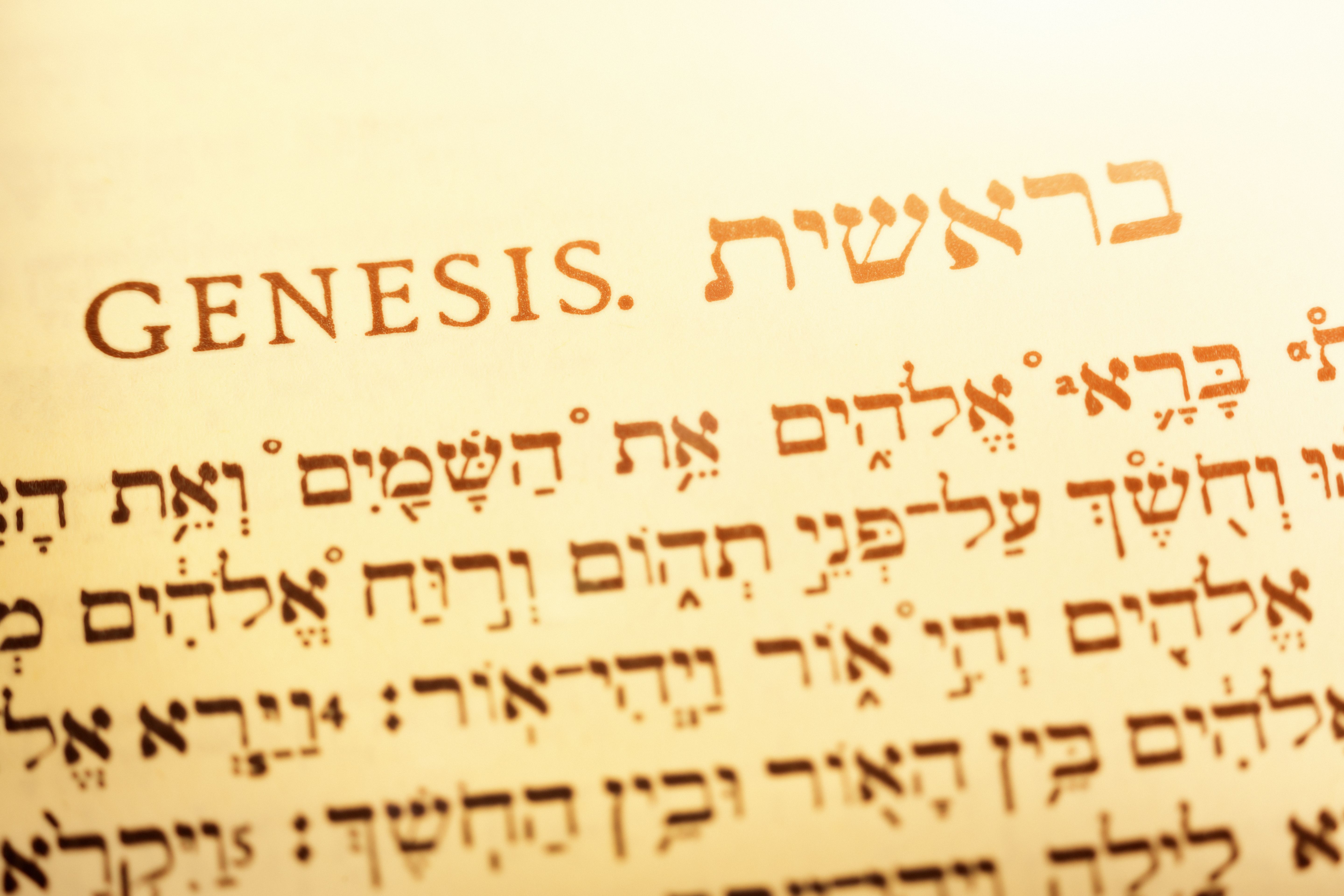 bible translation