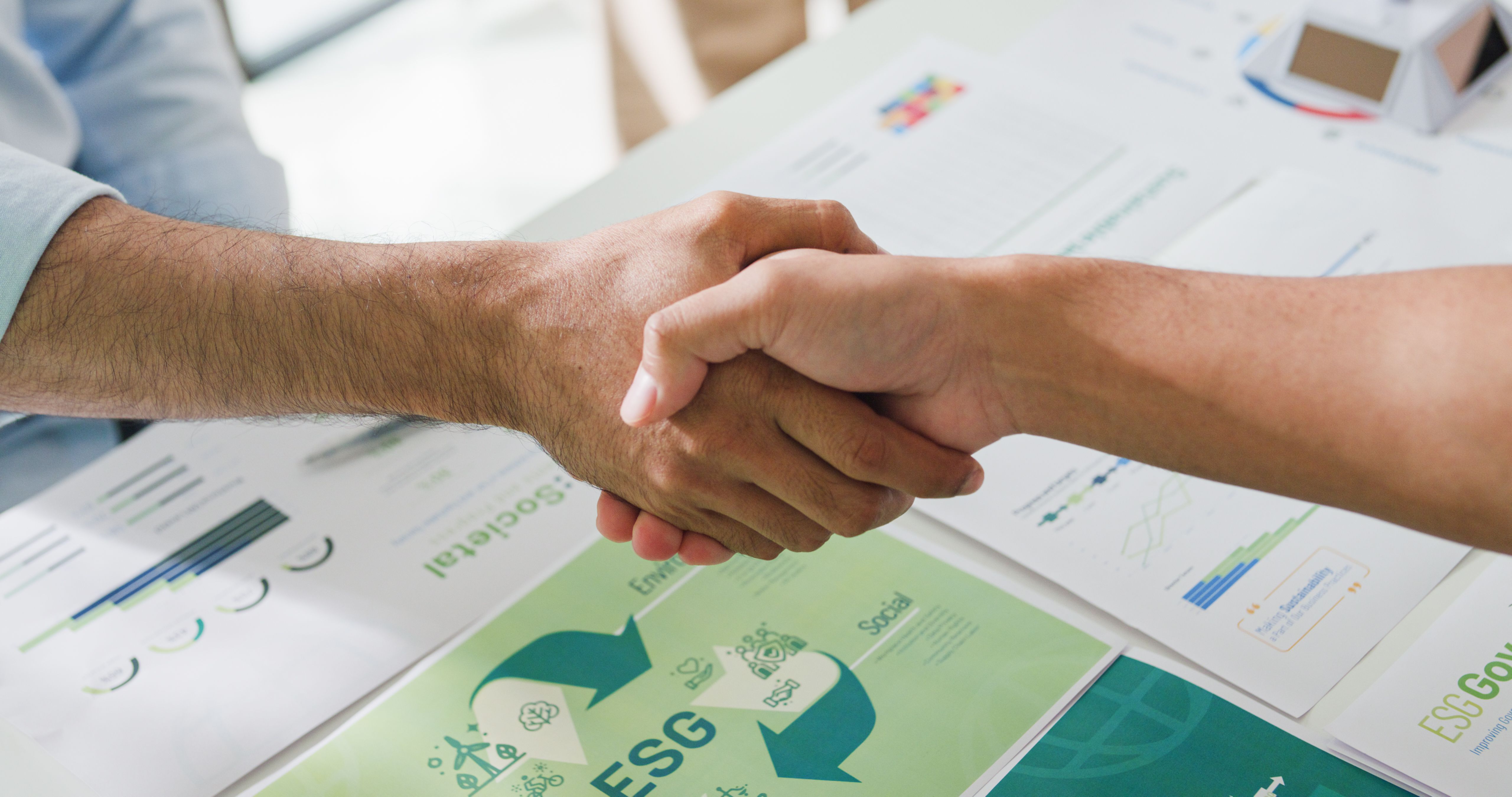 green business support